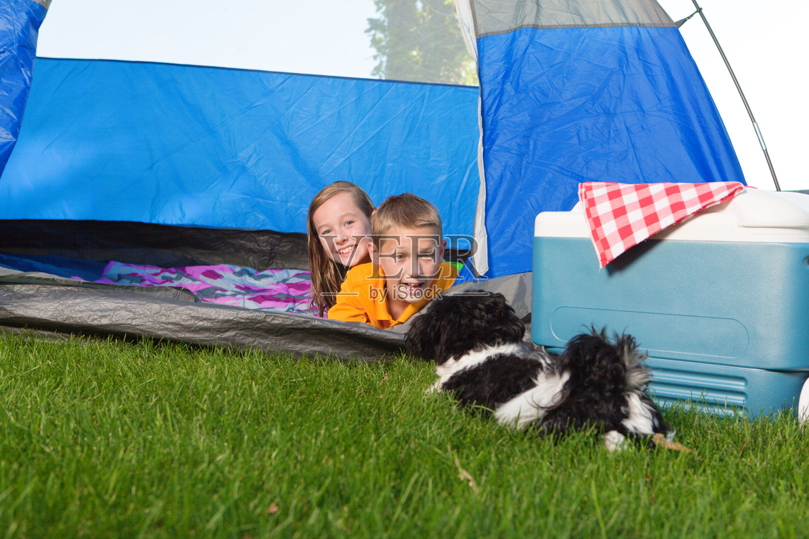 孩子兄弟姐妹露营在帐篷在家庭度假照片摄影图片