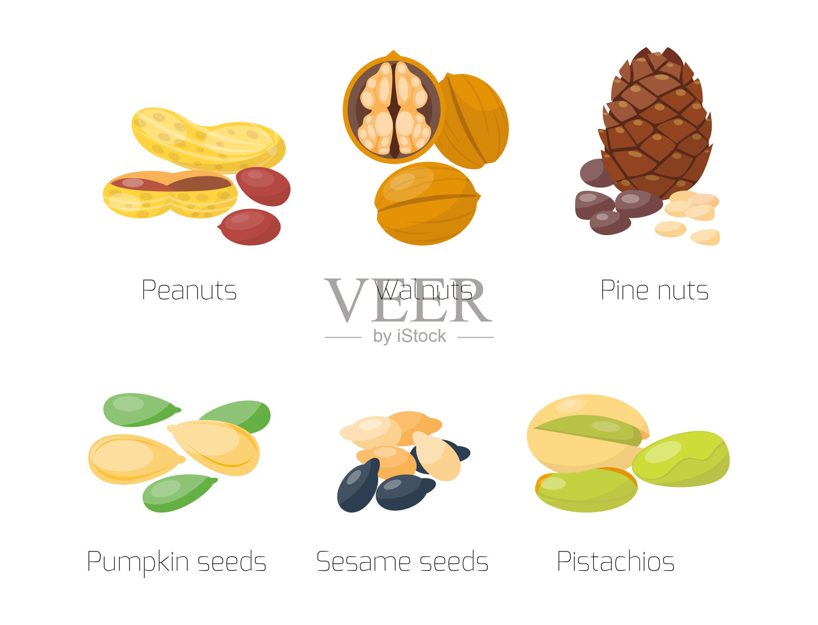 成堆不同的坚果，开心果，花生，核桃，美味的种子素食矢量插图插画图片素材