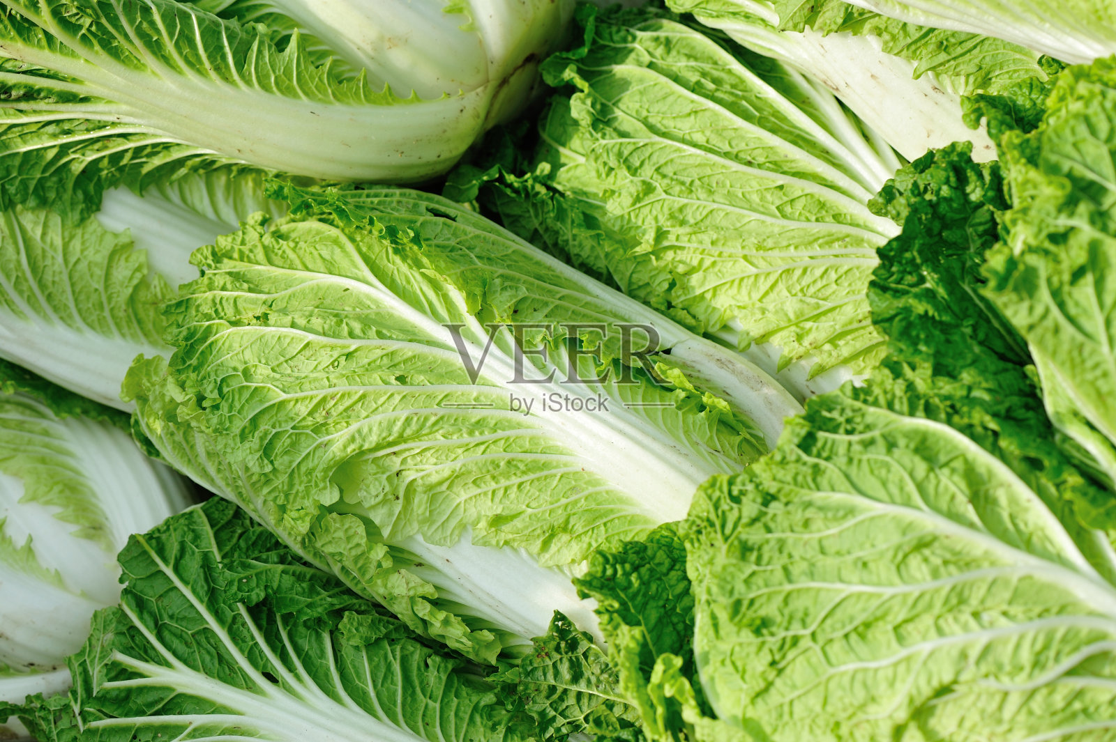 农贸市场卖的新鲜白菜照片摄影图片