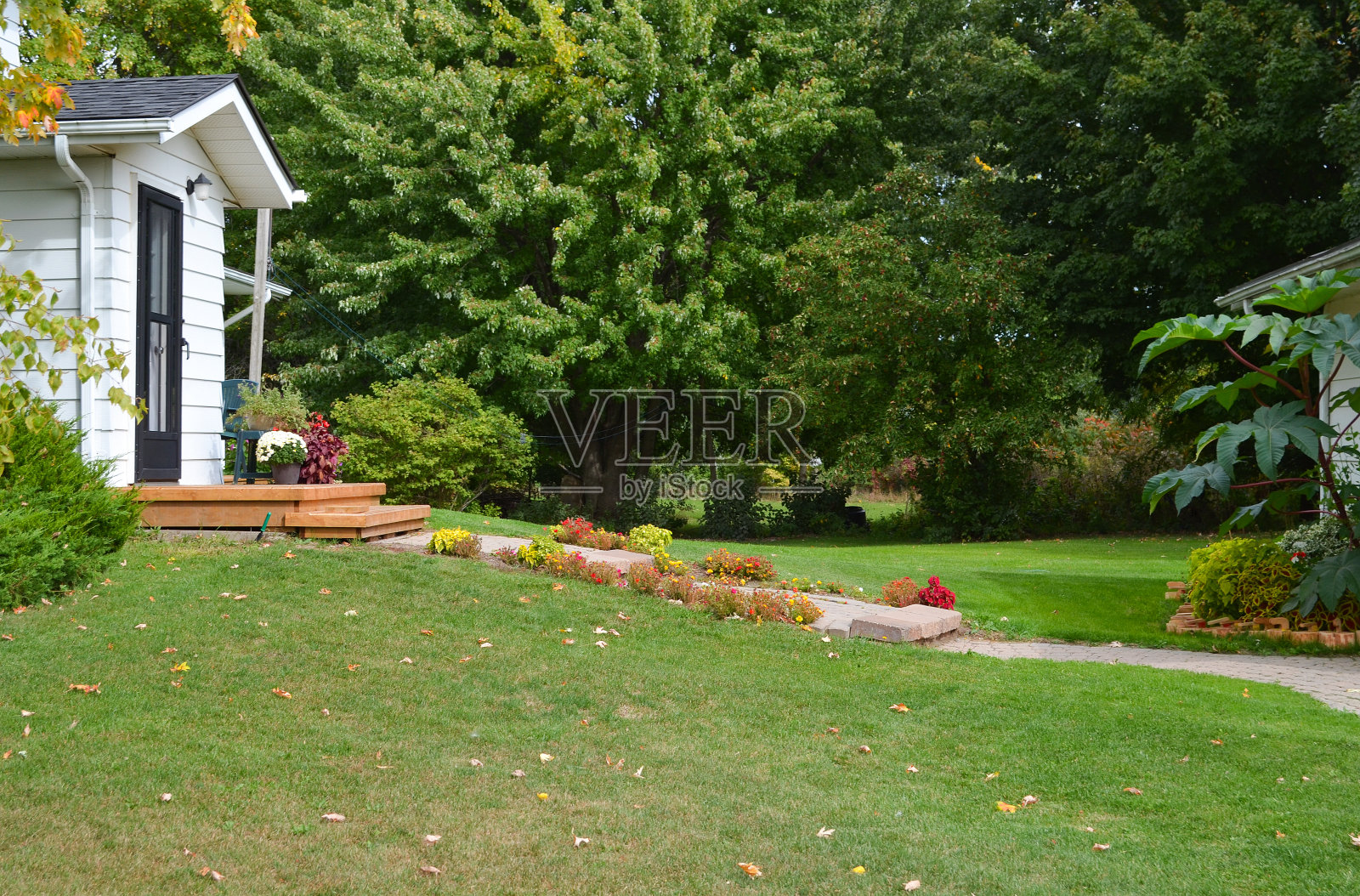 四季-秋天的花园色彩照片摄影图片
