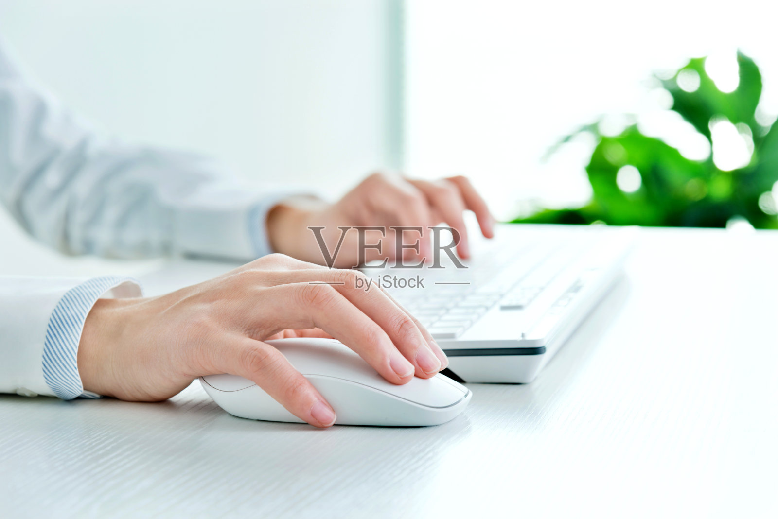 女商人手放在电脑键盘上照片摄影图片