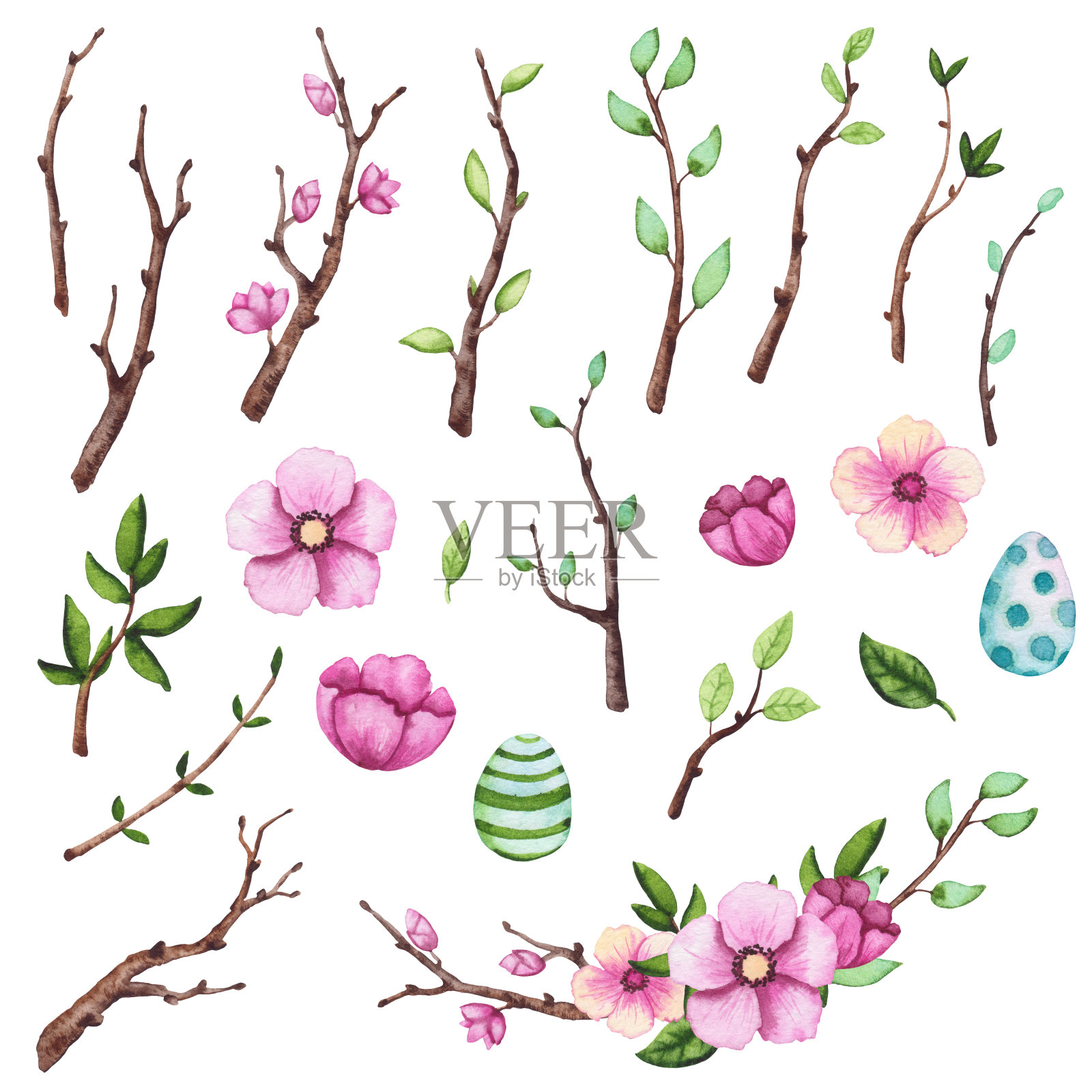 春天一套水彩新鲜的叶子，花和树枝插画图片素材