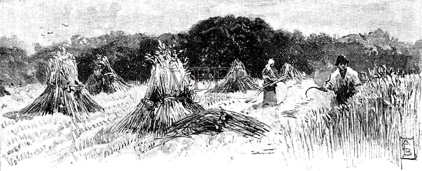 19世纪的文章插图描绘了一个典型的英国乡村在收获的时候的景象;1893年的维多利亚农业和庄稼采集插画图片素材