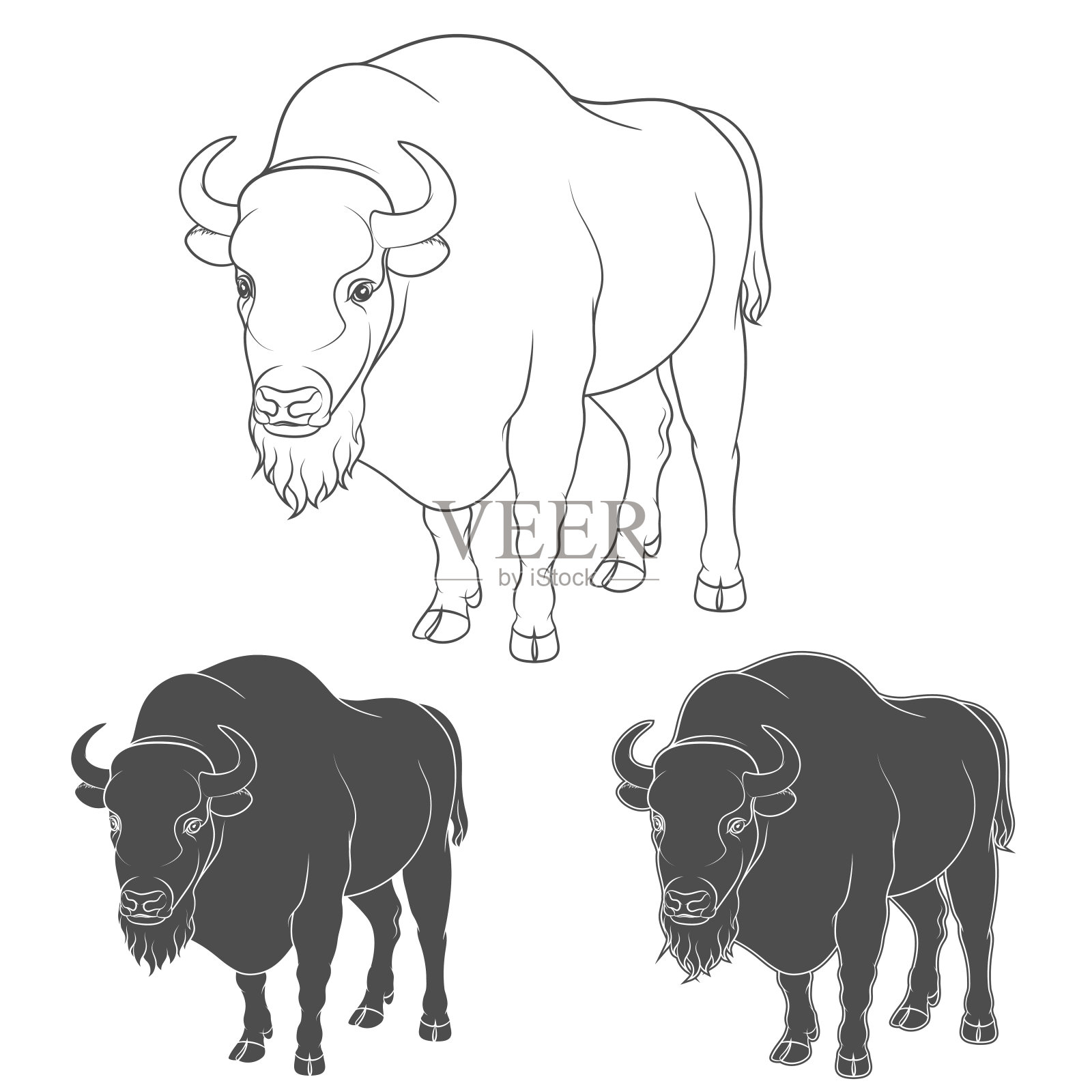 一组黑白向量图像与野牛。插画图片素材