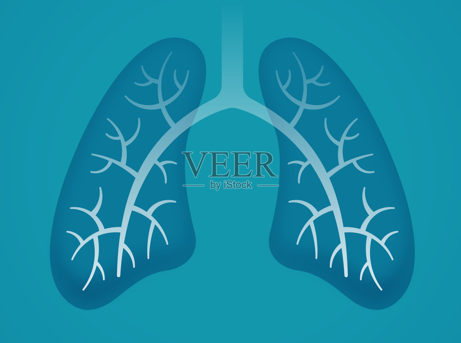 人类的肺插画图片素材