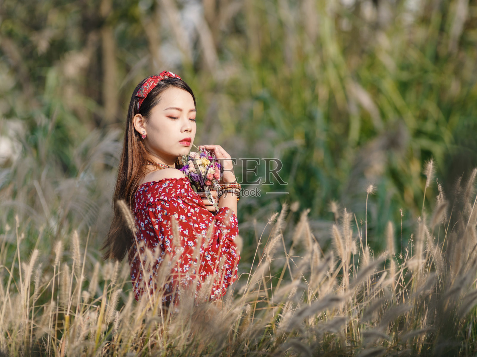 一个美丽的中国女孩的肖像站在黄色的芦苇田在阳光明媚的秋日。照片摄影图片