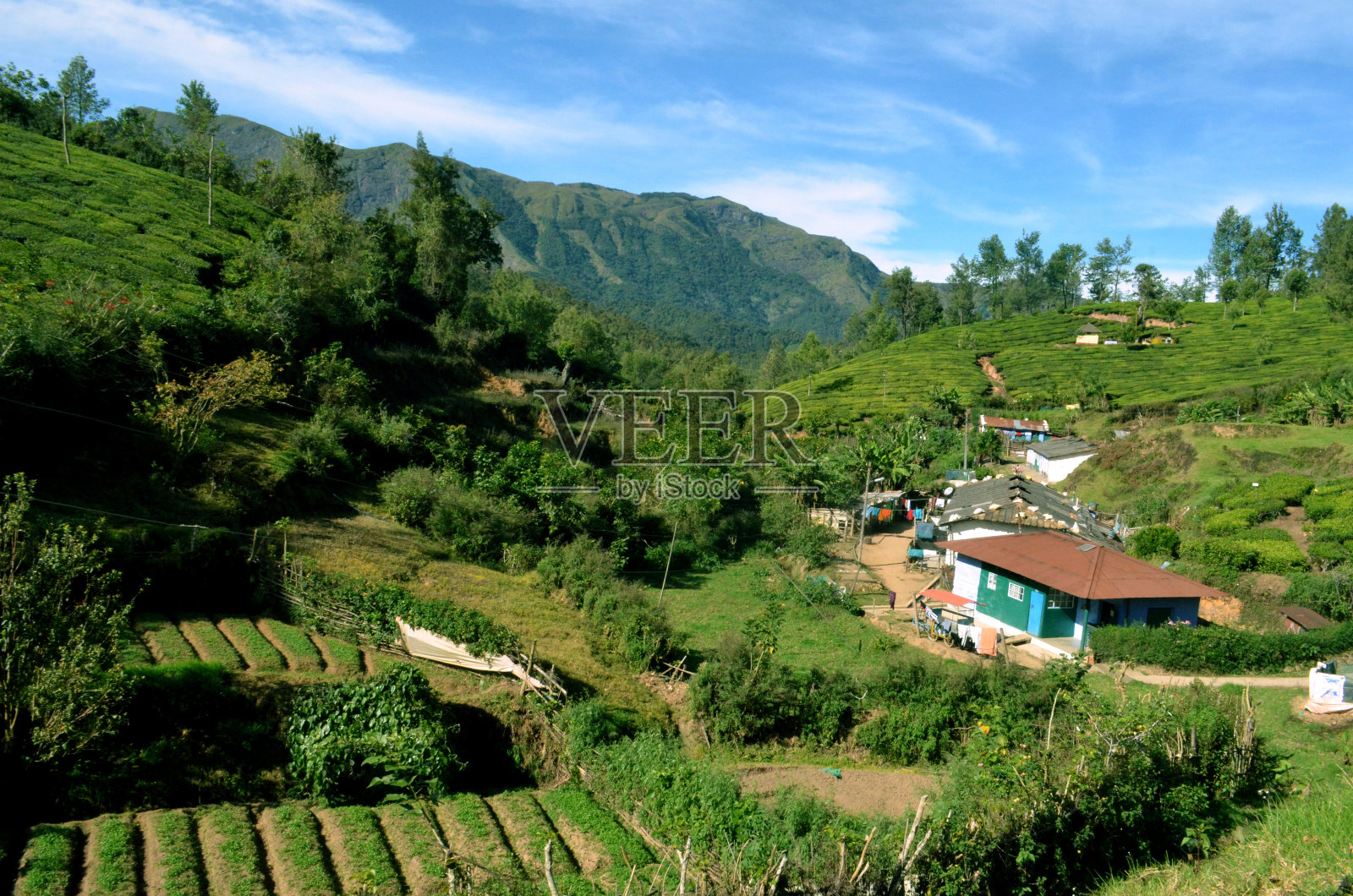 印度喜马拉雅山脉的一个村庄照片摄影图片