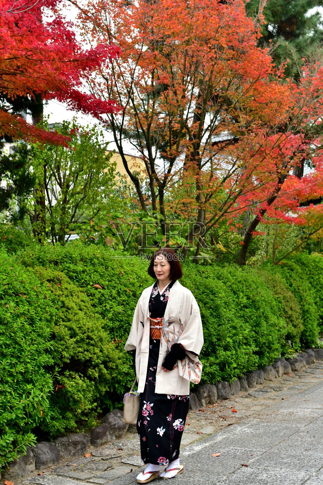 京都，穿着和服的日本妇女走在秋色街道上照片摄影图片