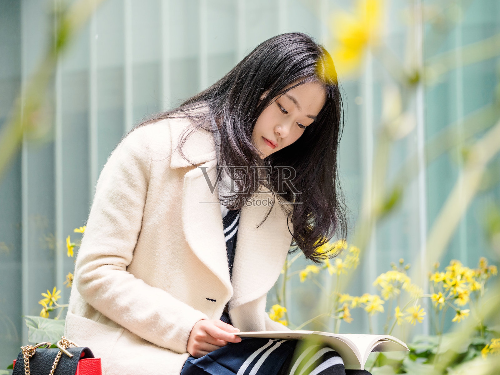 可爱的中国女孩在校园里看书。照片摄影图片