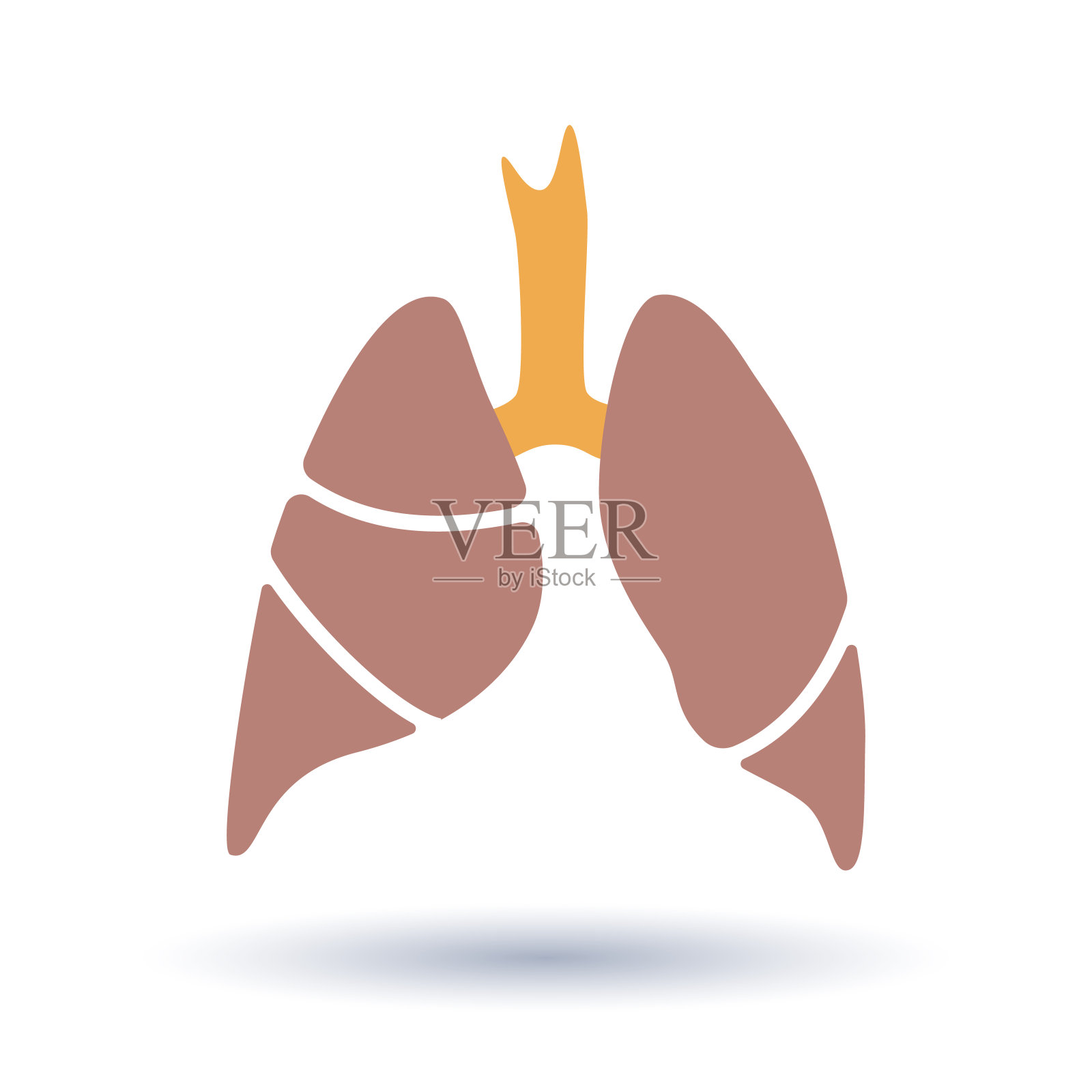 载体剪影人体器官-肺与气管的医学插图。诊所、医院的符号模板。象征哮喘、肺结核、肺炎。呼吸系统保健。插画图片素材