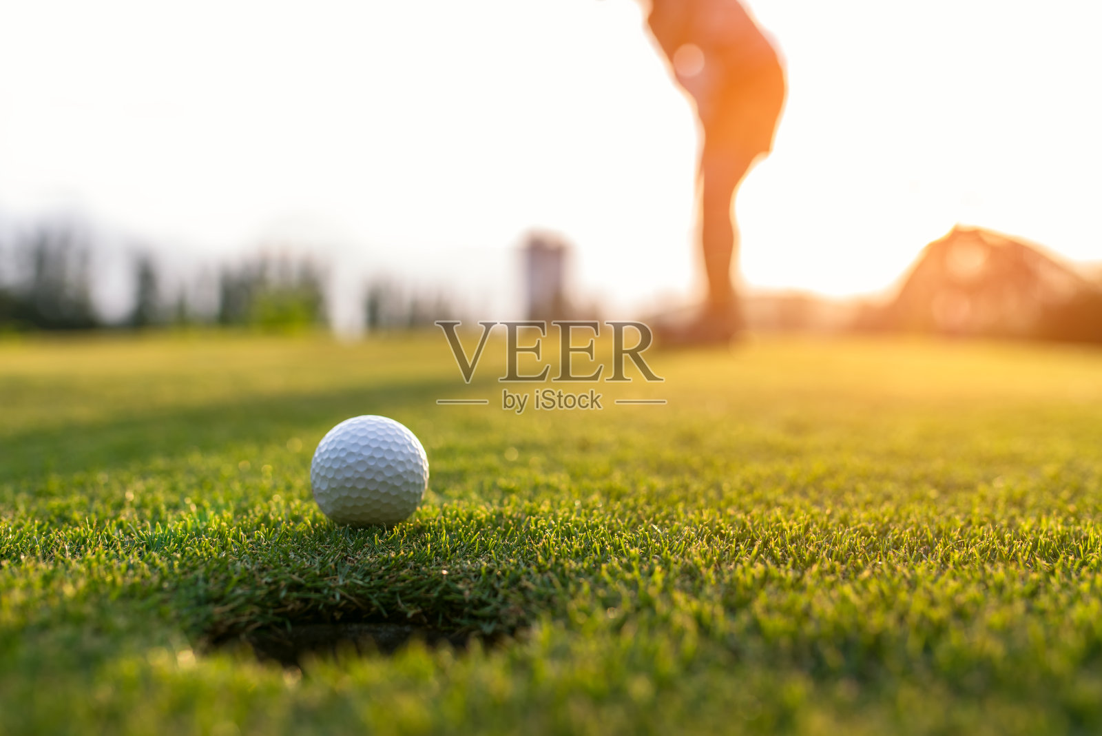 高尔夫球手亚洲女人把高尔夫球在绿色高尔夫在太阳日落傍晚时间，选择焦点。健康和生活方式的概念。照片摄影图片
