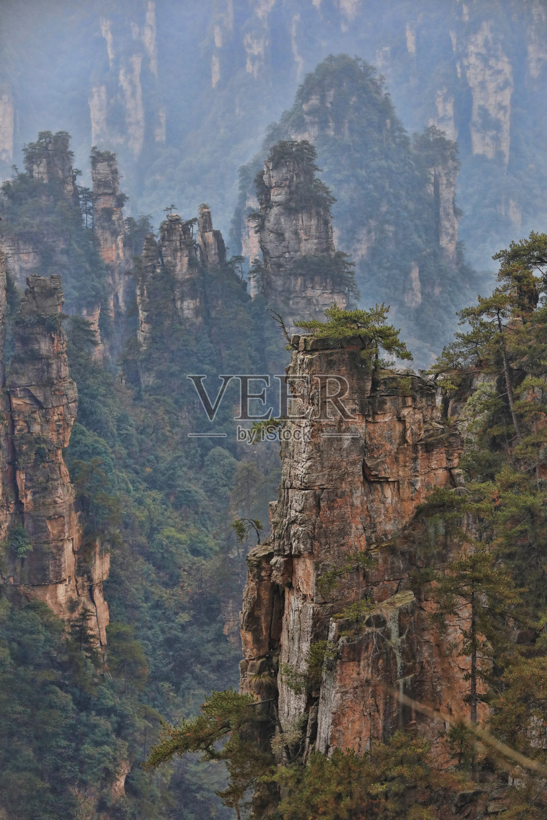 美丽的天子山天子山在中国湖南省照片摄影图片