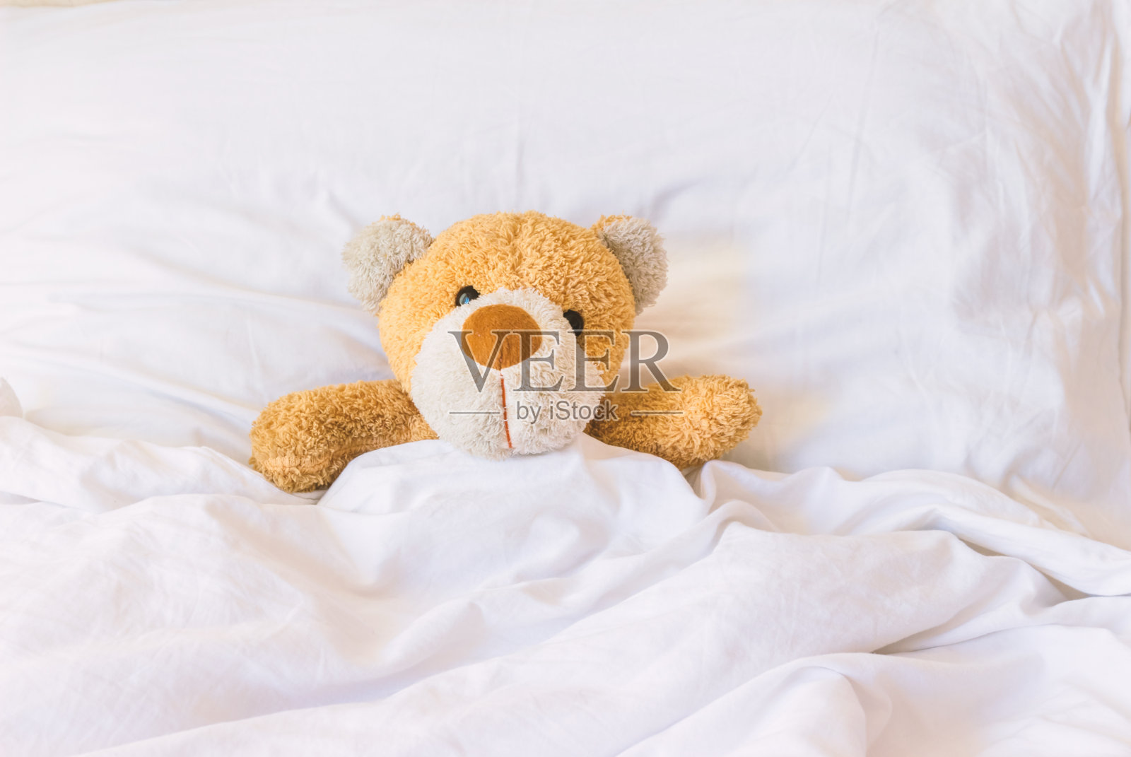泰迪熊睡在床上。照片摄影图片