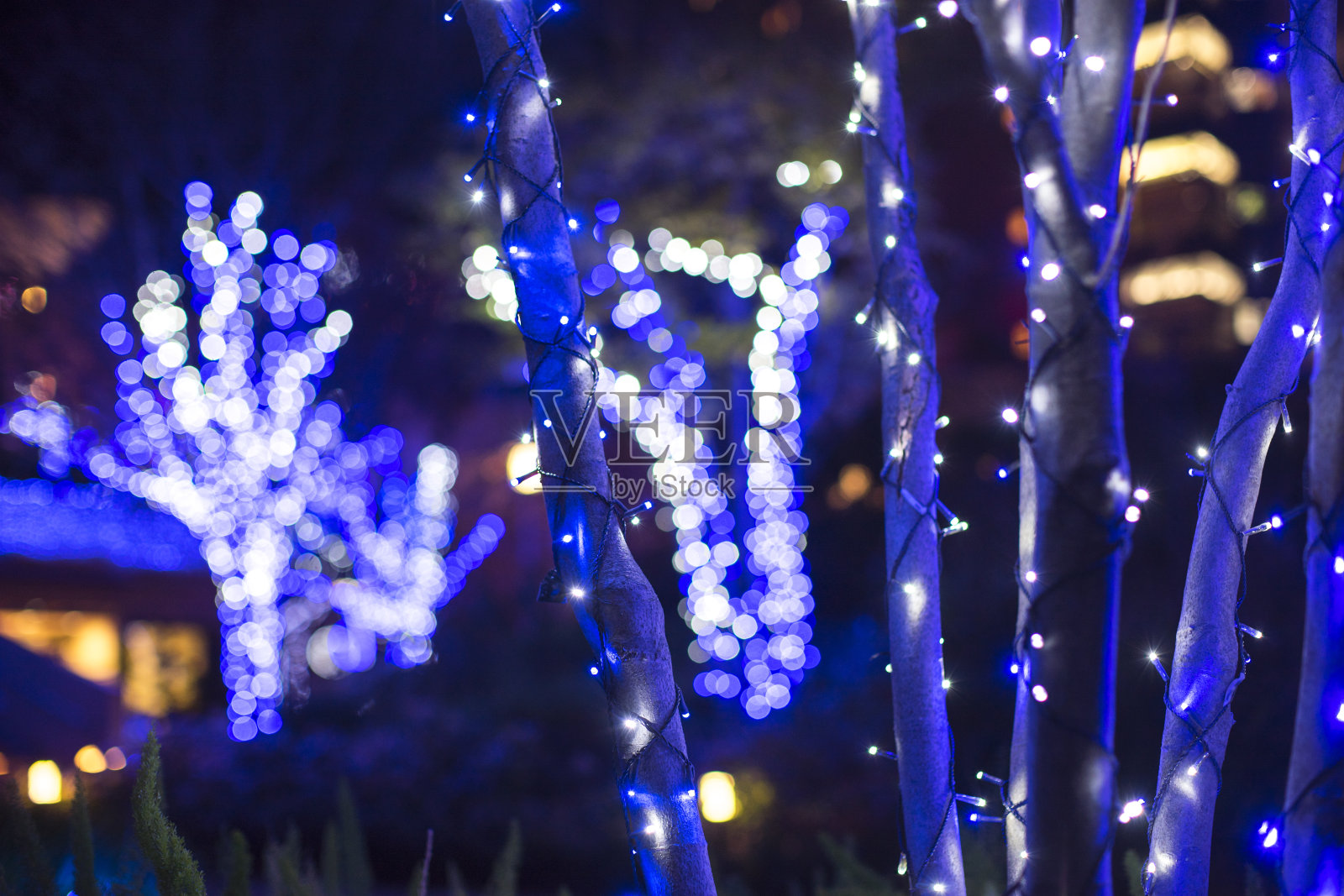 圣诞节在日本-抽象图像表参道(圣诞节庆祝)灯照片摄影图片