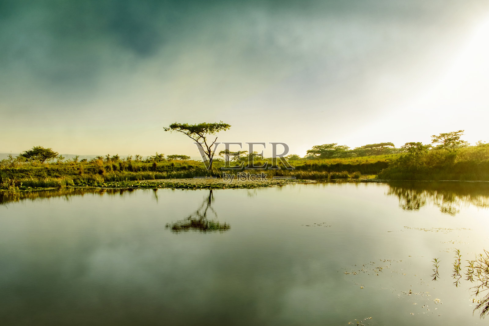 德拉肯斯堡山南非水坑树照片摄影图片