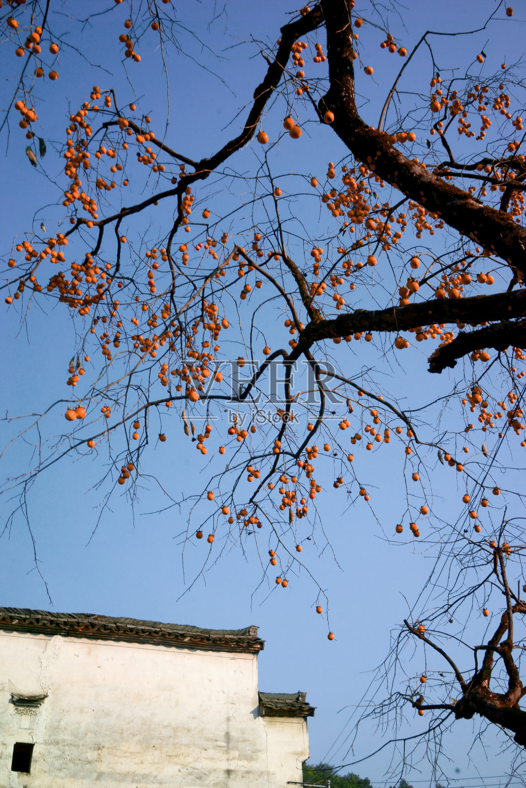 中国古代村落的秋天照片摄影图片
