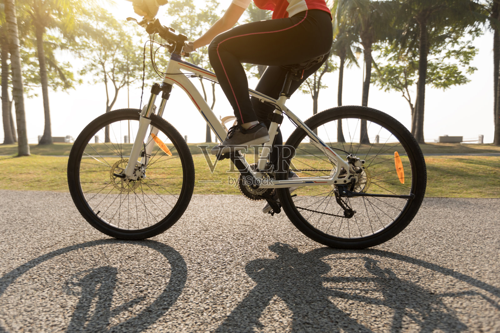 骑自行车的女人在一个热带公园里骑自行车照片摄影图片