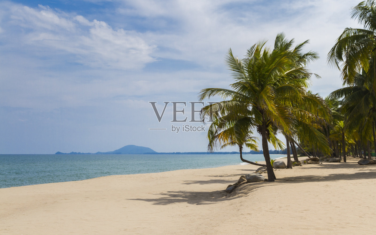 沙滩上有白色的沙滩和椰子树。照片摄影图片