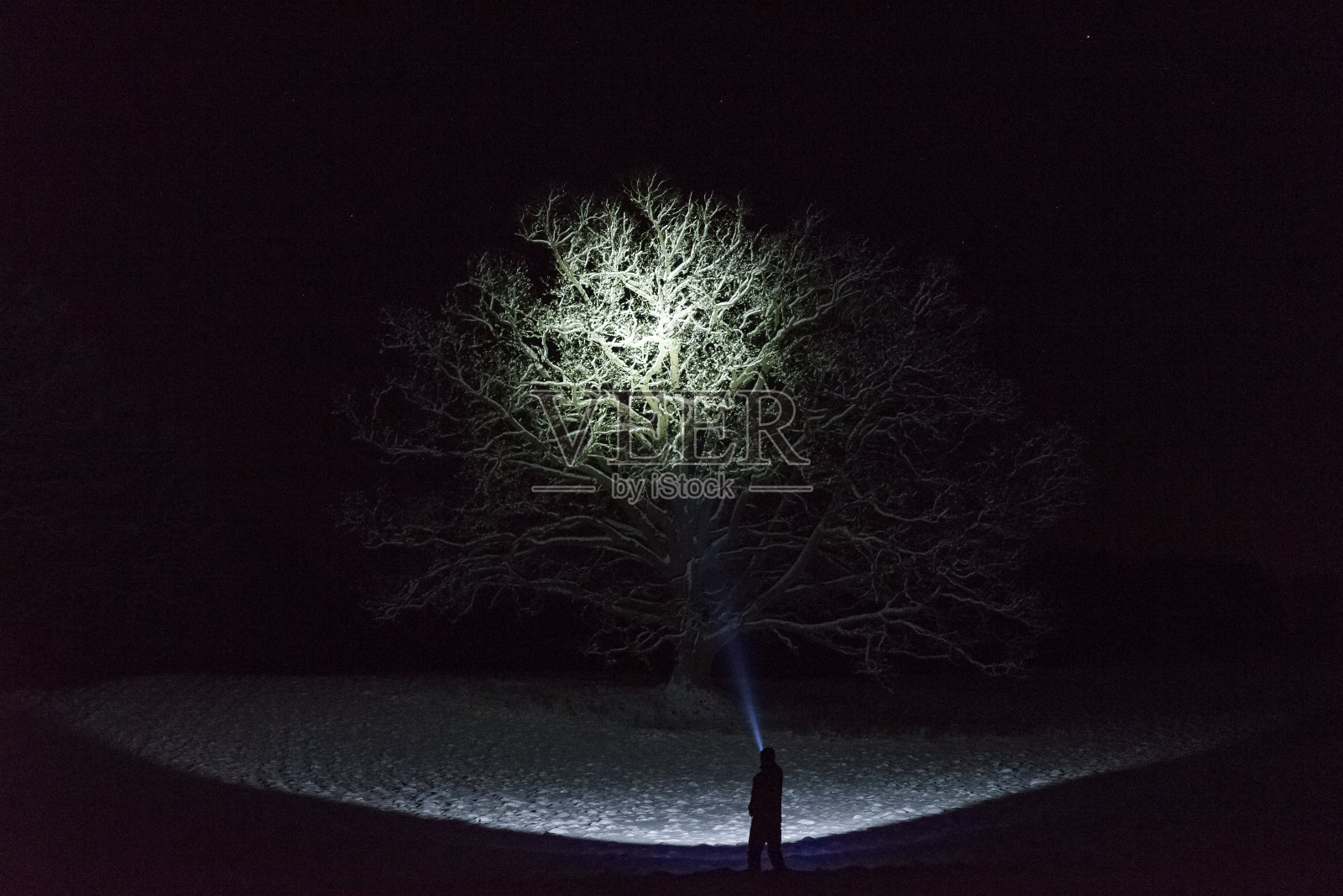在瑞典斯堪的那维亚的冬天，一个人站在户外，用手电筒照树照片摄影图片