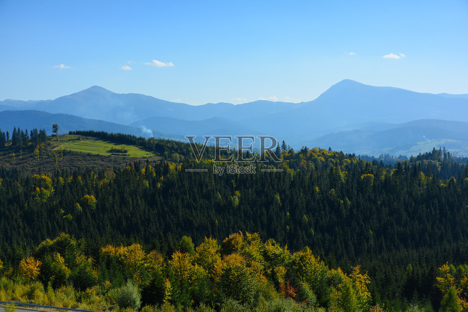 Hoverla和Petros山，Chornohirskyi山脊，喀尔巴阡山脉，针叶林的景色。照片摄影图片