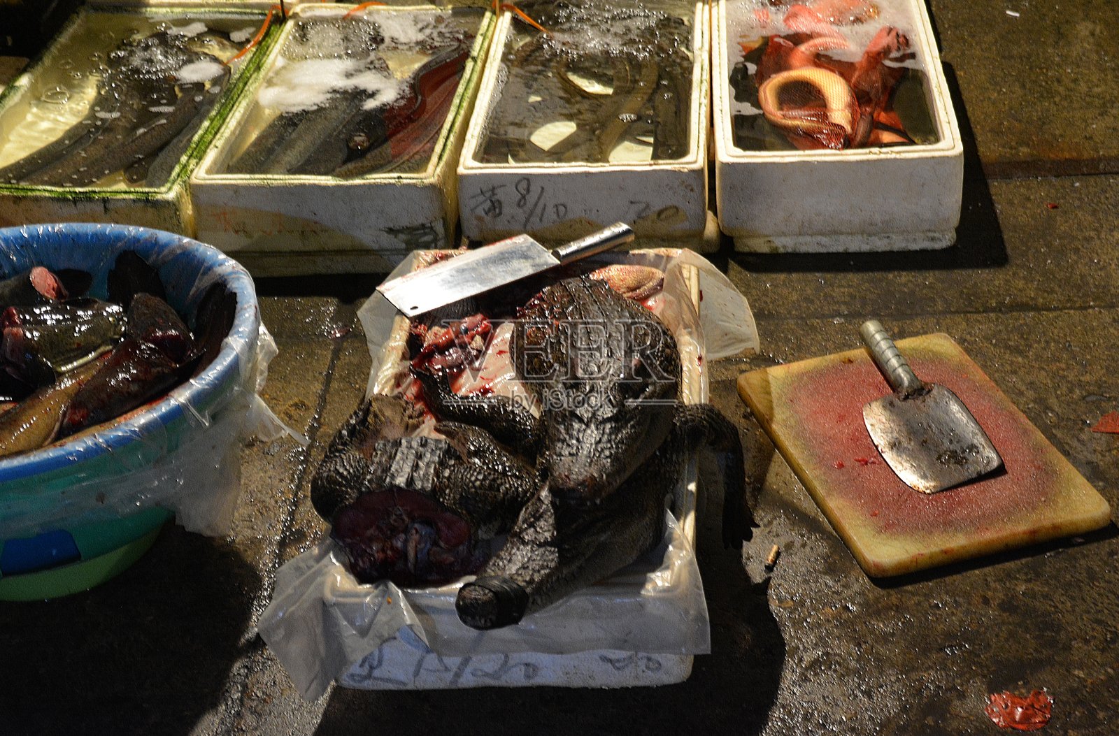 中国福建省厦门夜市上出售的鳄鱼肉和新鲜的鱼照片摄影图片