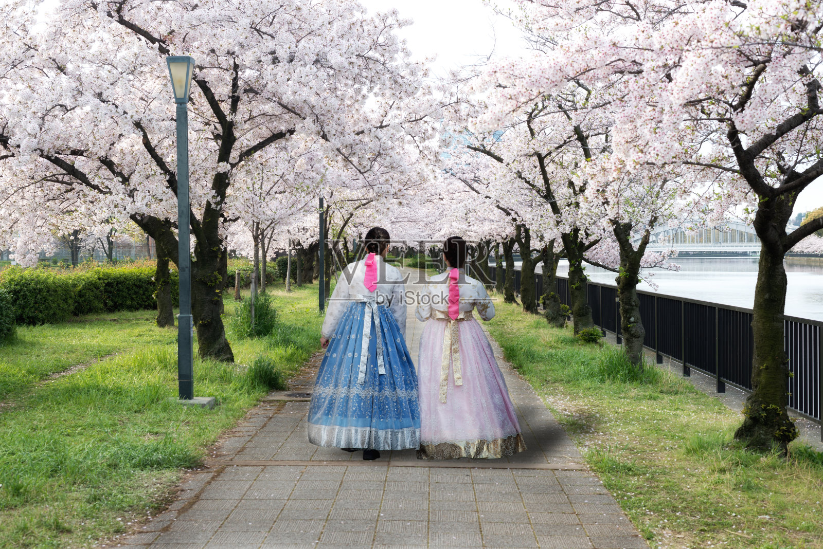 韩国首尔，两名亚洲女子穿着韩国民族服装，在公园和樱花盛开的春天散步。韩国的春天季节。照片摄影图片