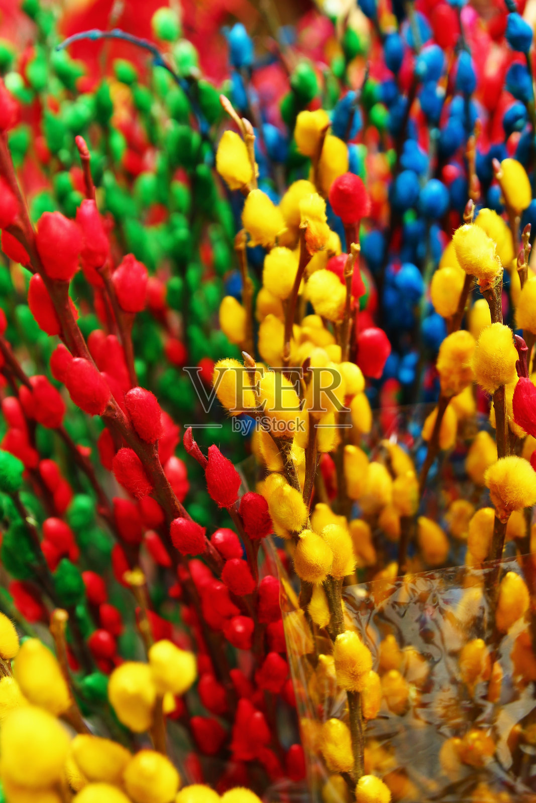 花市上的柳枝上涂着黄色、红色、蓝色和绿色。色调,越南。照片摄影图片