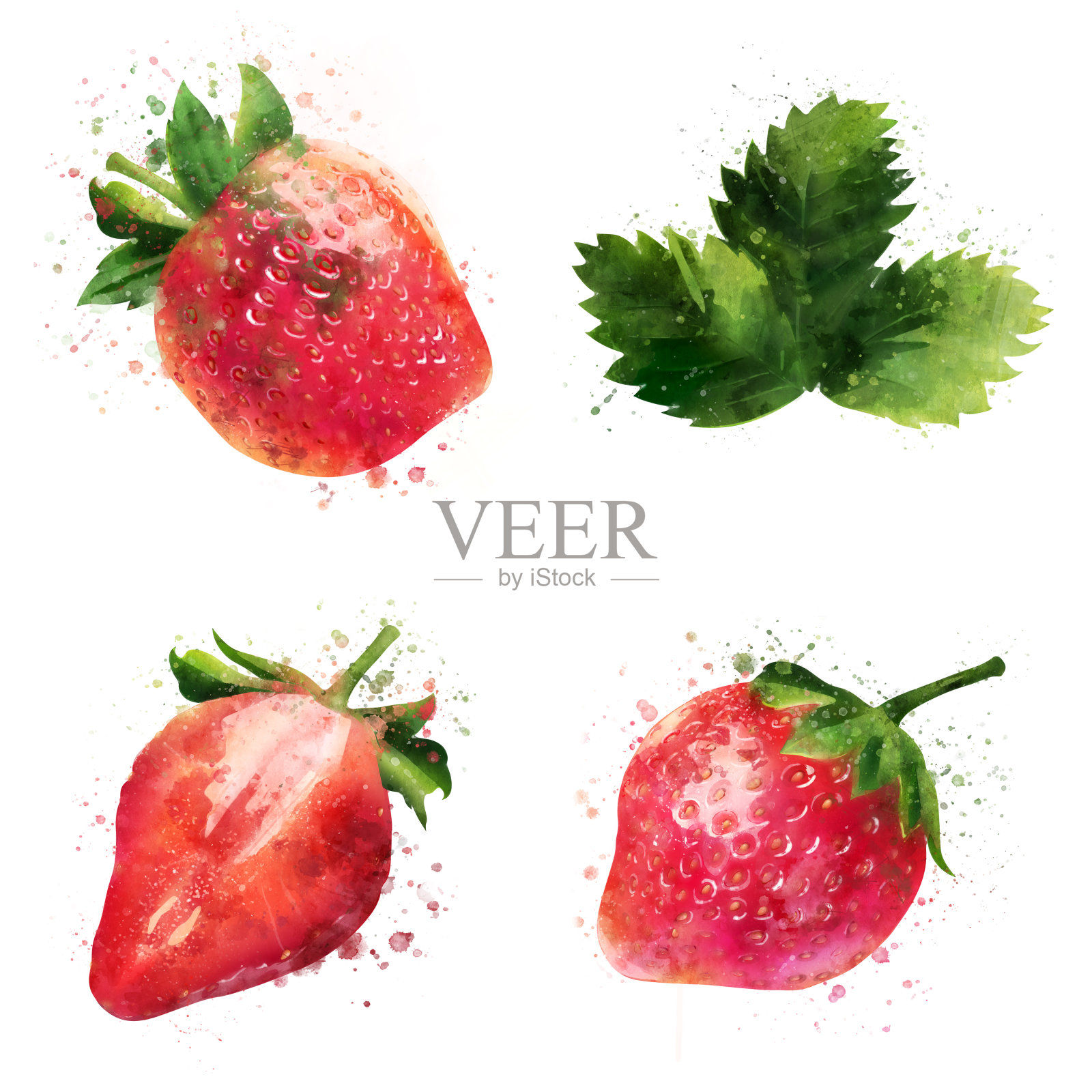 白色背景上的草莓。水彩插图插画图片素材