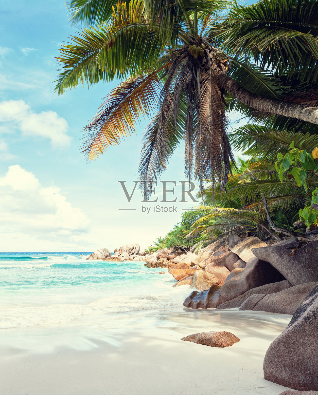 美丽的白色沙滩被花岗岩和椰子树包围。拉迪戈,塞舌尔。健美的形象。照片摄影图片