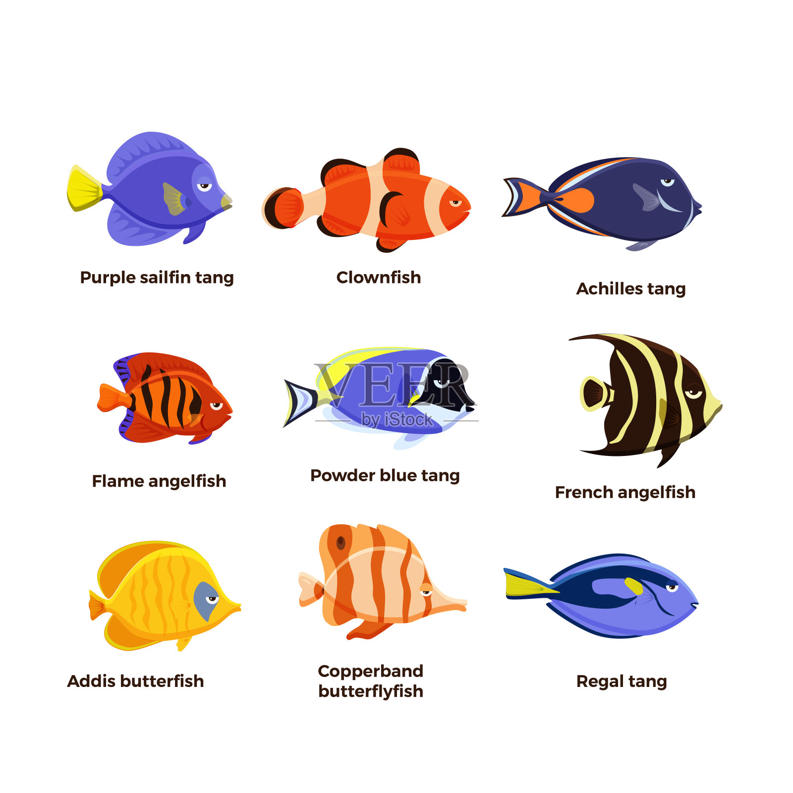 可爱的鱼矢量插图图标集。热带鱼、海鱼、观赏鱼插画图片素材