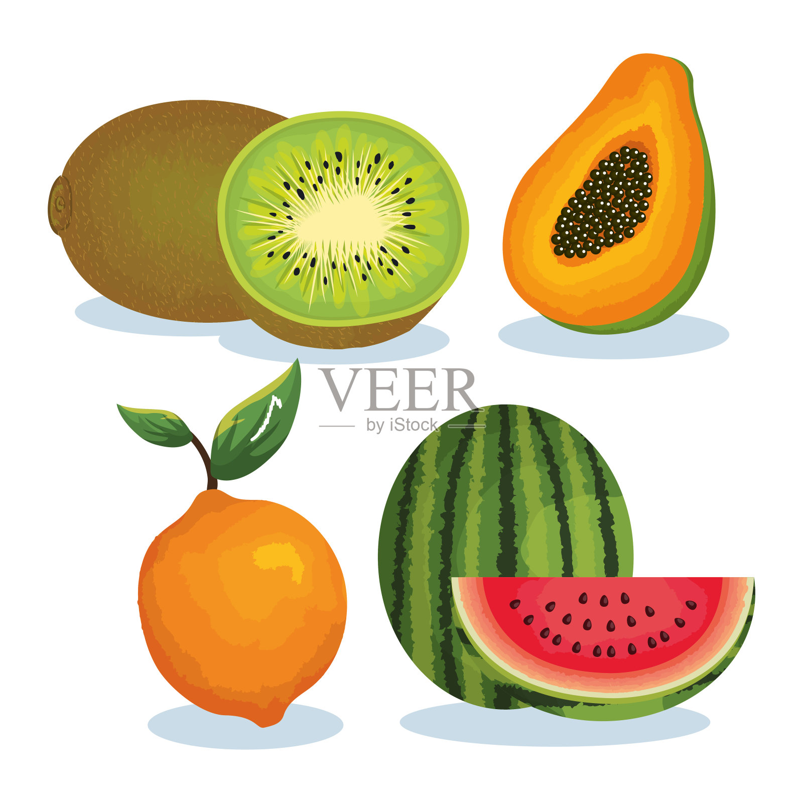设置热带新鲜水果插画图片素材