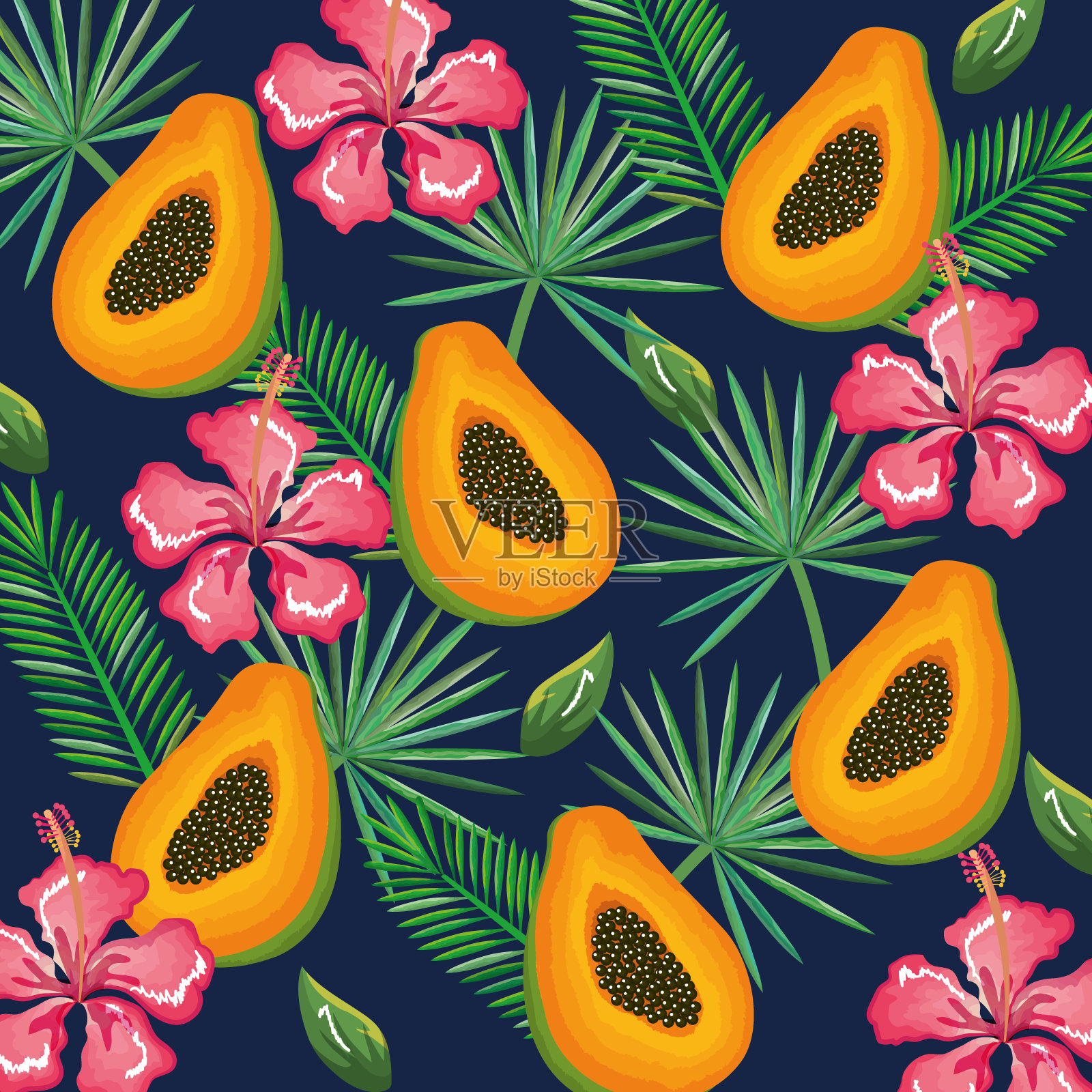 带木瓜的热带花园插画图片素材