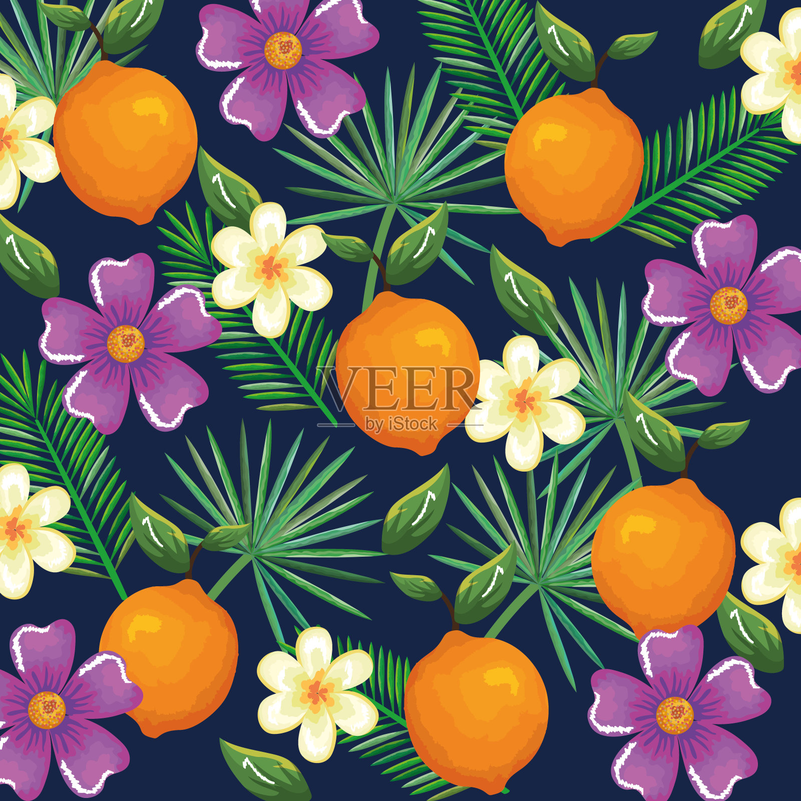 橙色热带花园插画图片素材