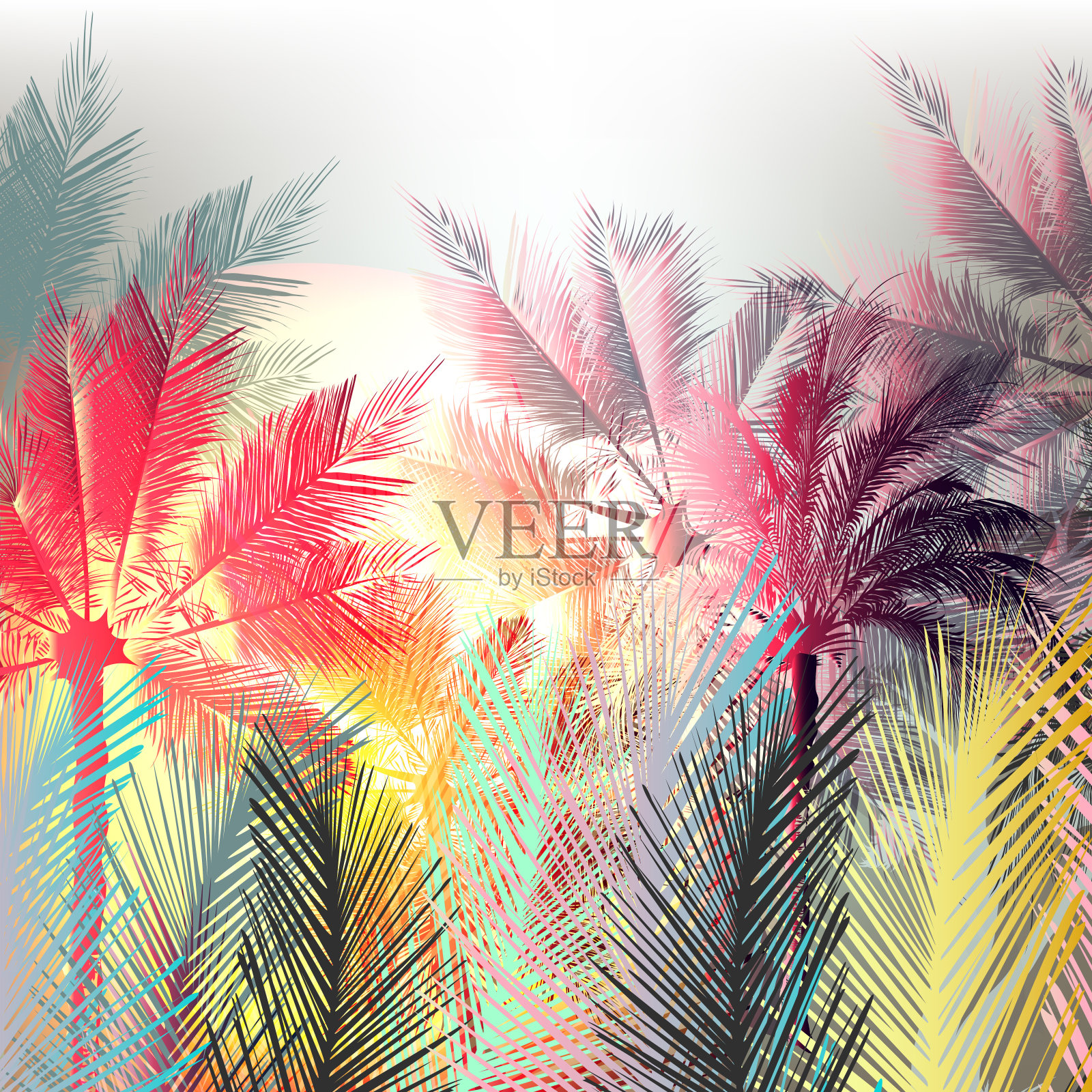 丛林色彩斑斓的棕榈树和热带植物。矢量设计插画图片素材