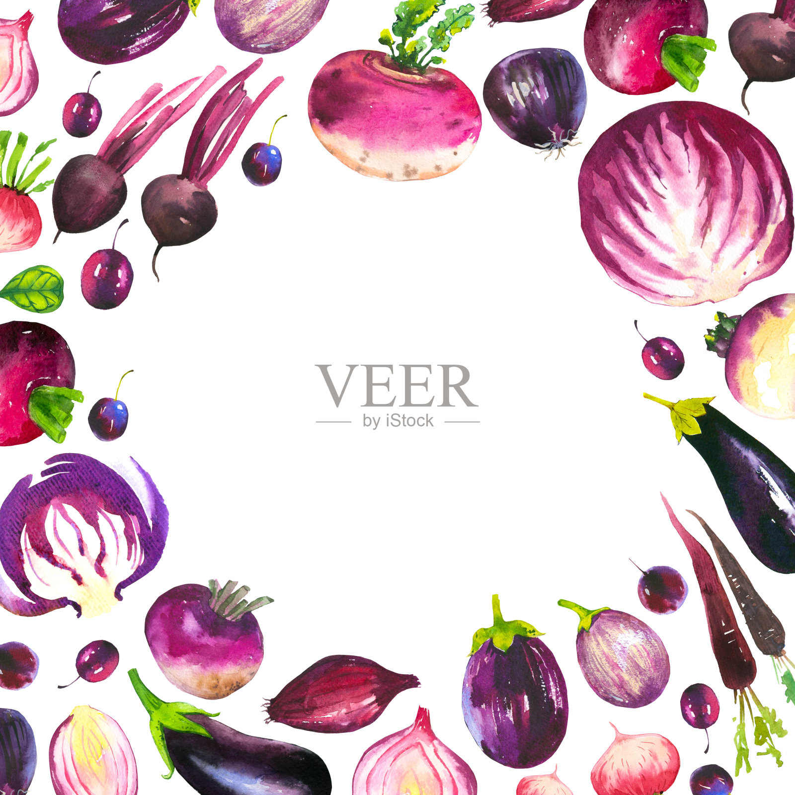 水彩插图与圆形组成的农场插图。配套蔬菜:卷心菜，茄子，萝卜，萝卜，胡萝卜，洋葱。新鲜的有机食品。紫罗兰色的插画图片素材