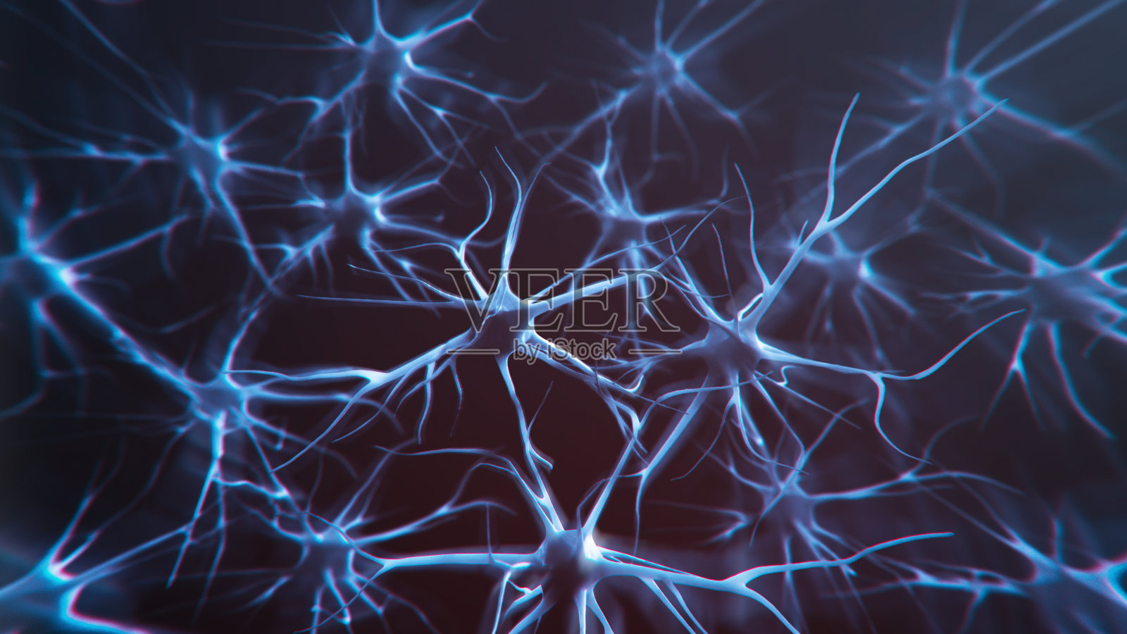 神经元系统照片摄影图片