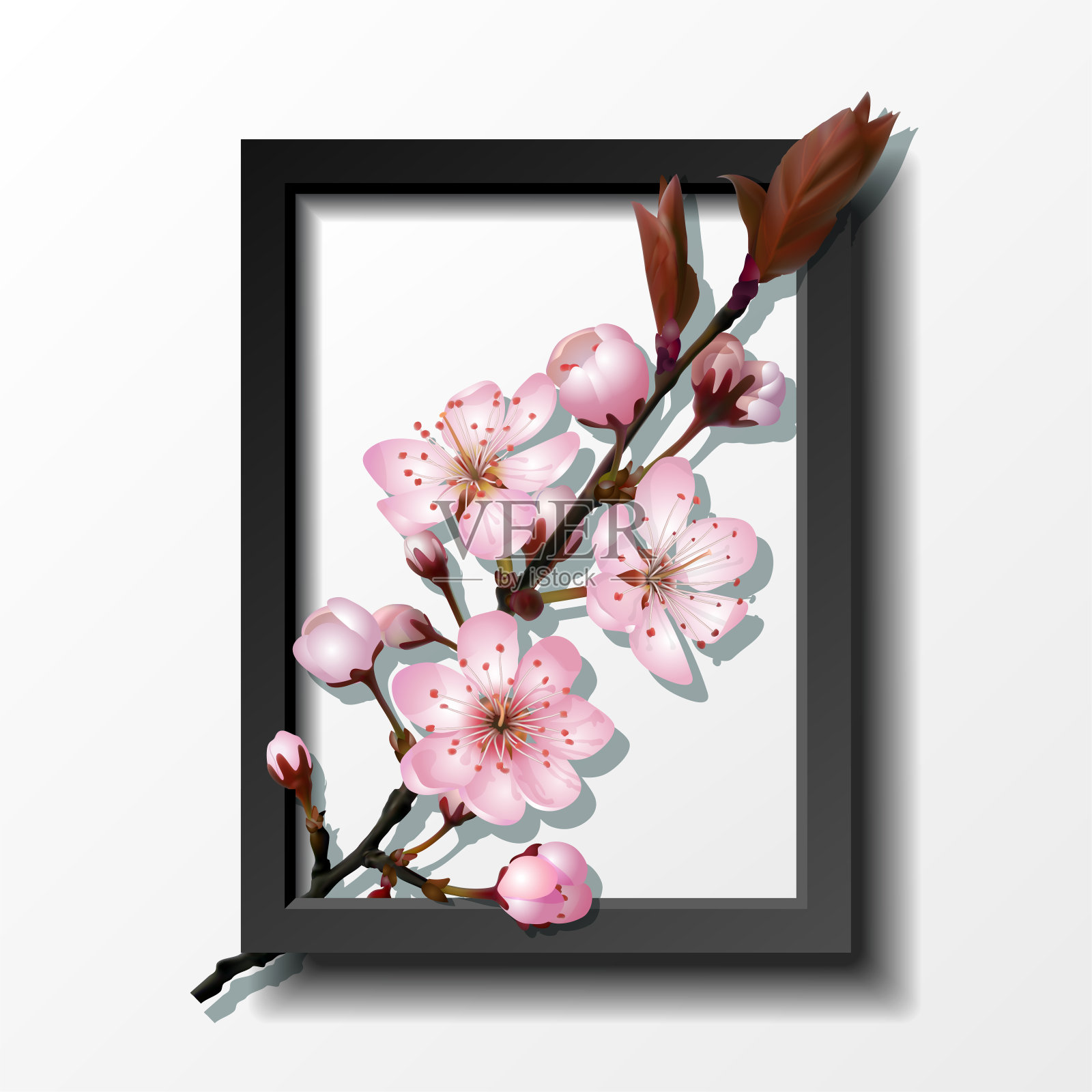 镜框内的粉红色樱花枝设计元素图片
