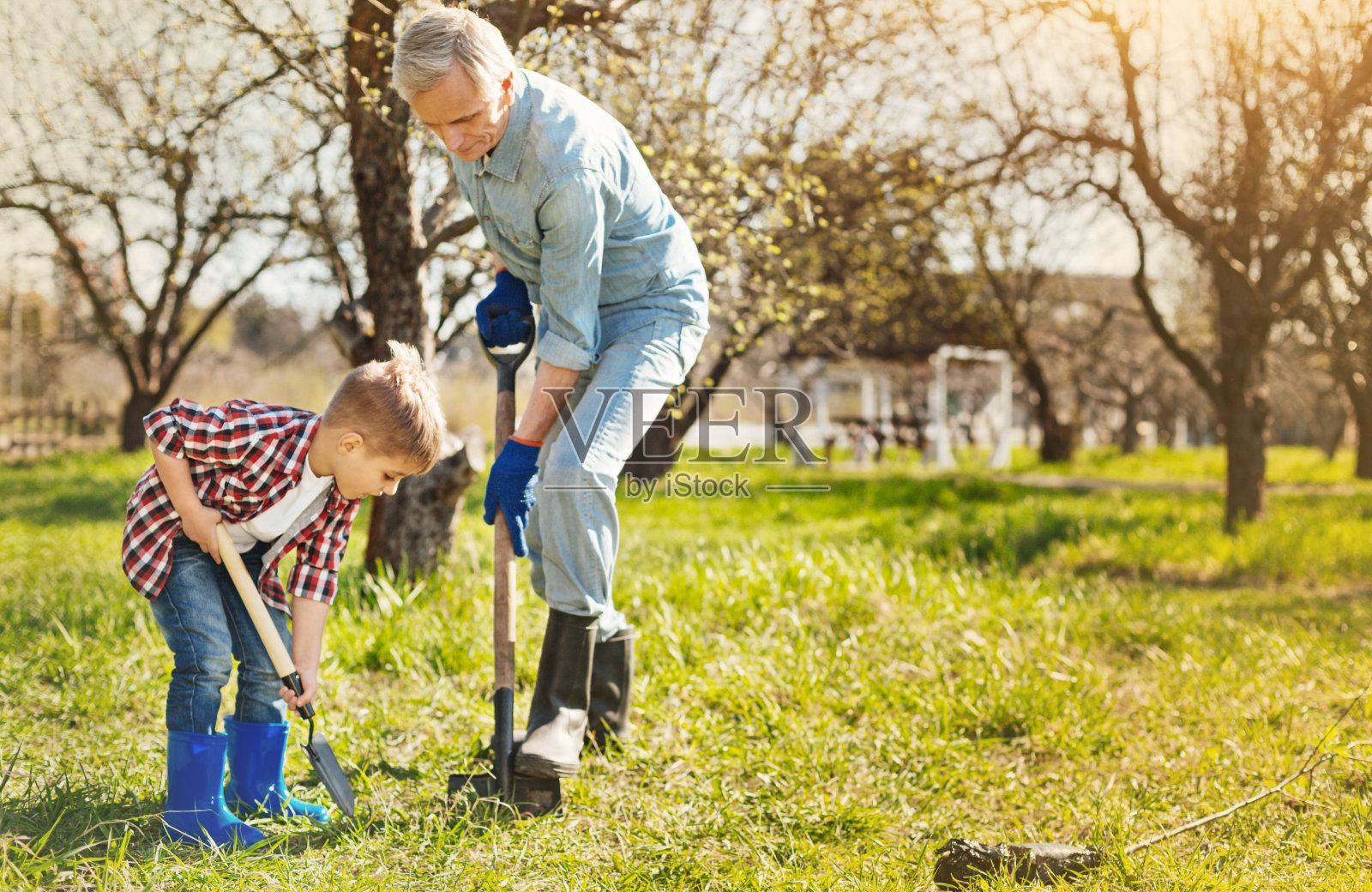 一位愉快的老人和他的孙子在花园里挖土照片摄影图片