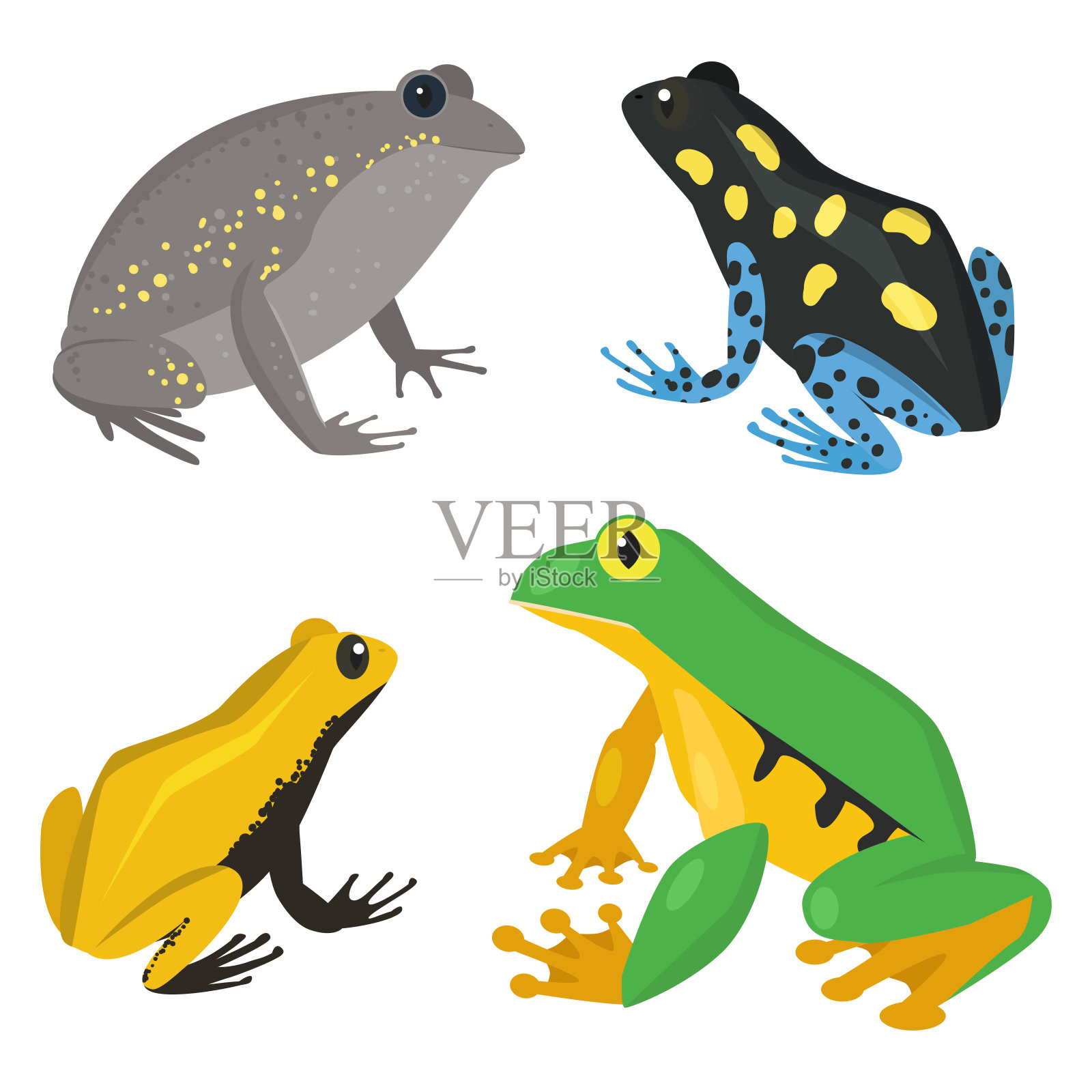 青蛙载体卡通热带野生动物绿色青蛙自然有趣的插图有毒的蟾蜍两栖动物插画图片素材