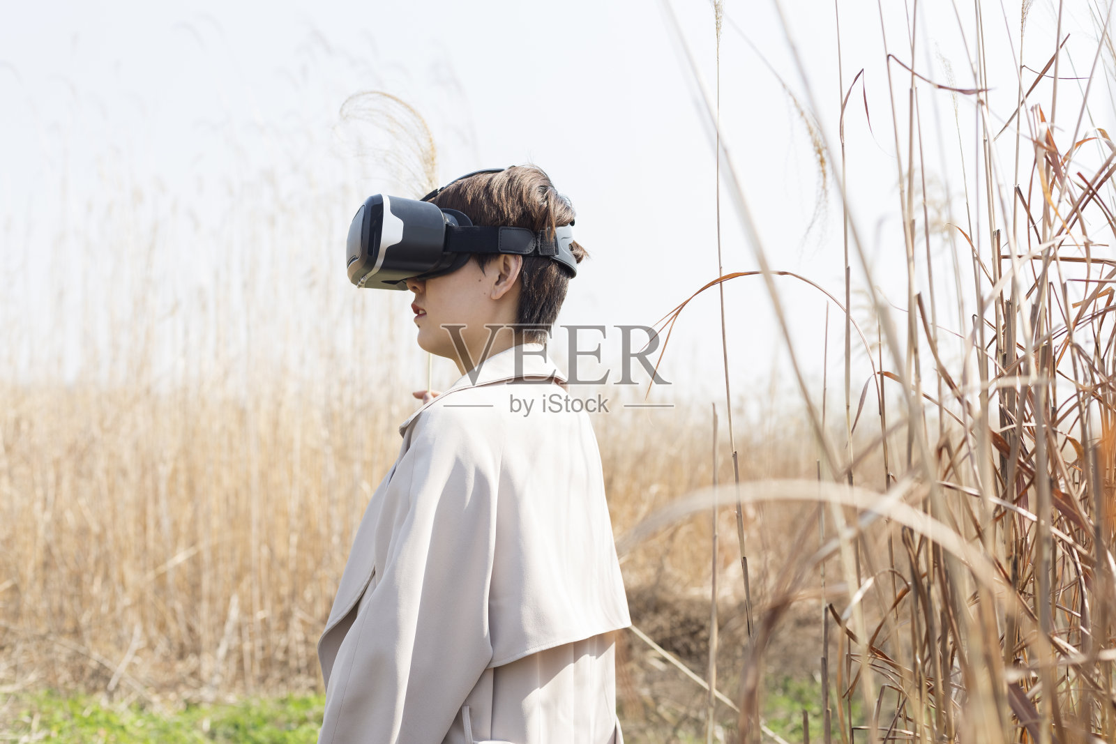 草地上戴着VR眼镜的女子照片摄影图片