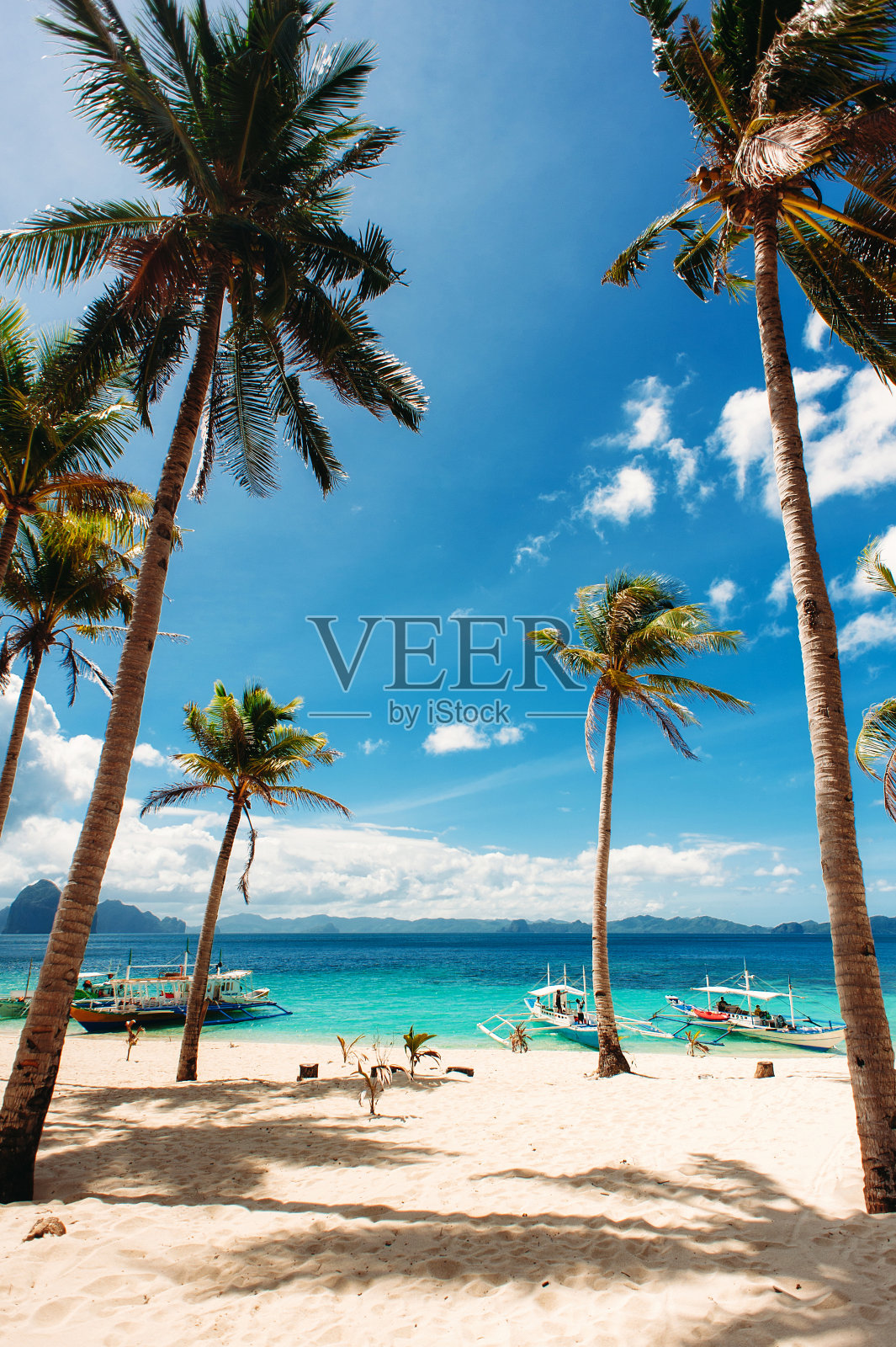 热带海滩，棕榈树，菲律宾船，蓝天，蓝绿色的水和白色的沙子。天堂。菲律宾，厄尔尼诺，7突击队海滩。广角、垂直照片摄影图片