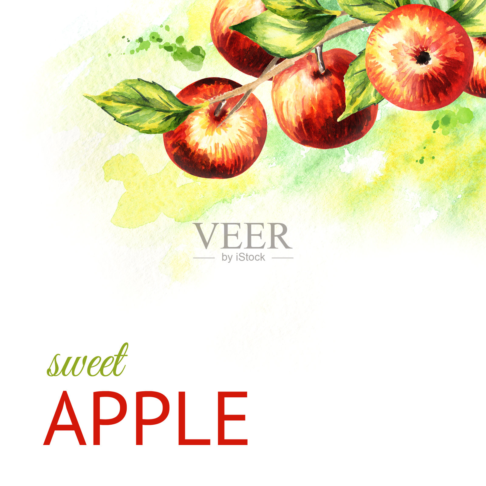 树枝上有红苹果。手绘水彩背景插画图片素材