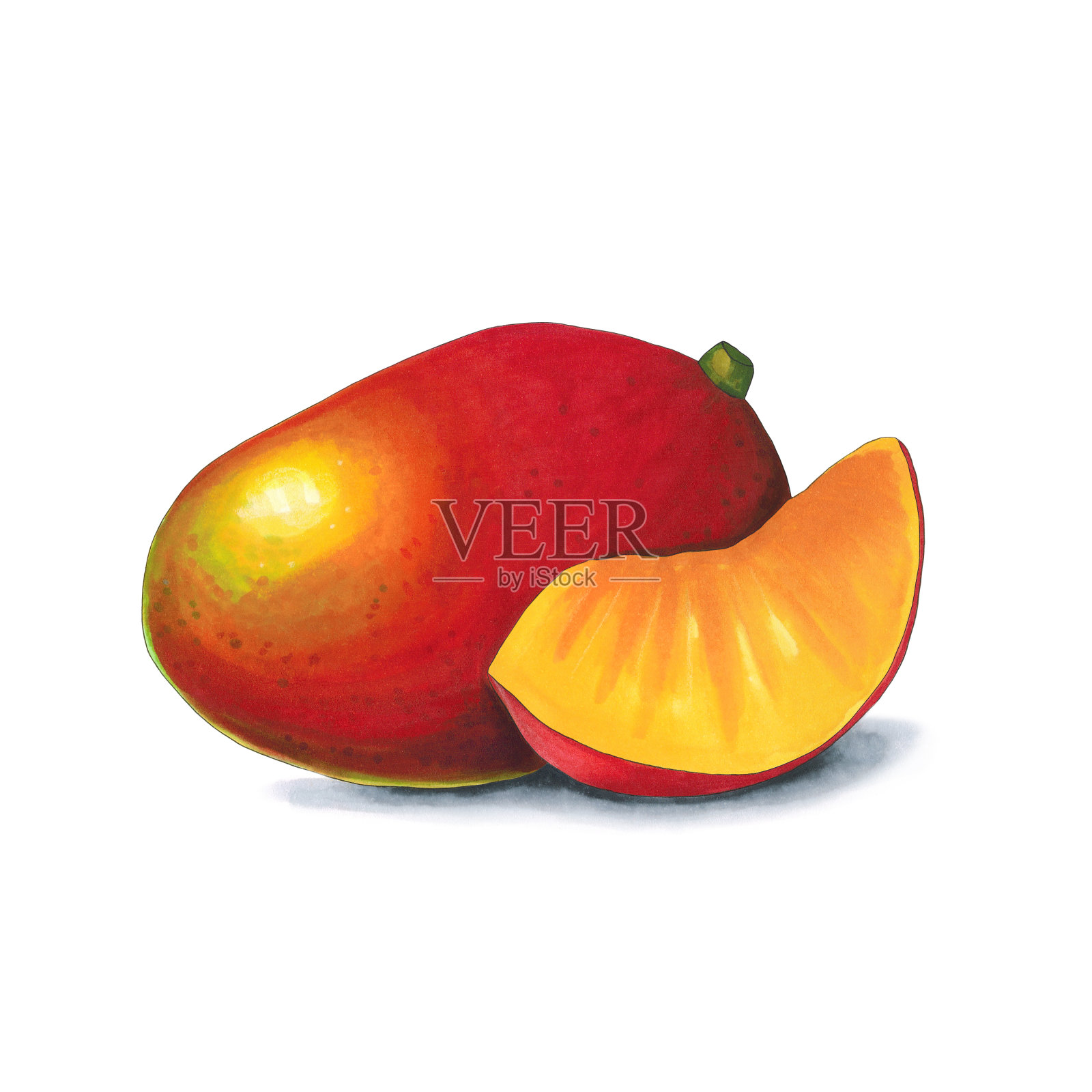 白色背景上的芒果。在酒类市场画的素描插画图片素材