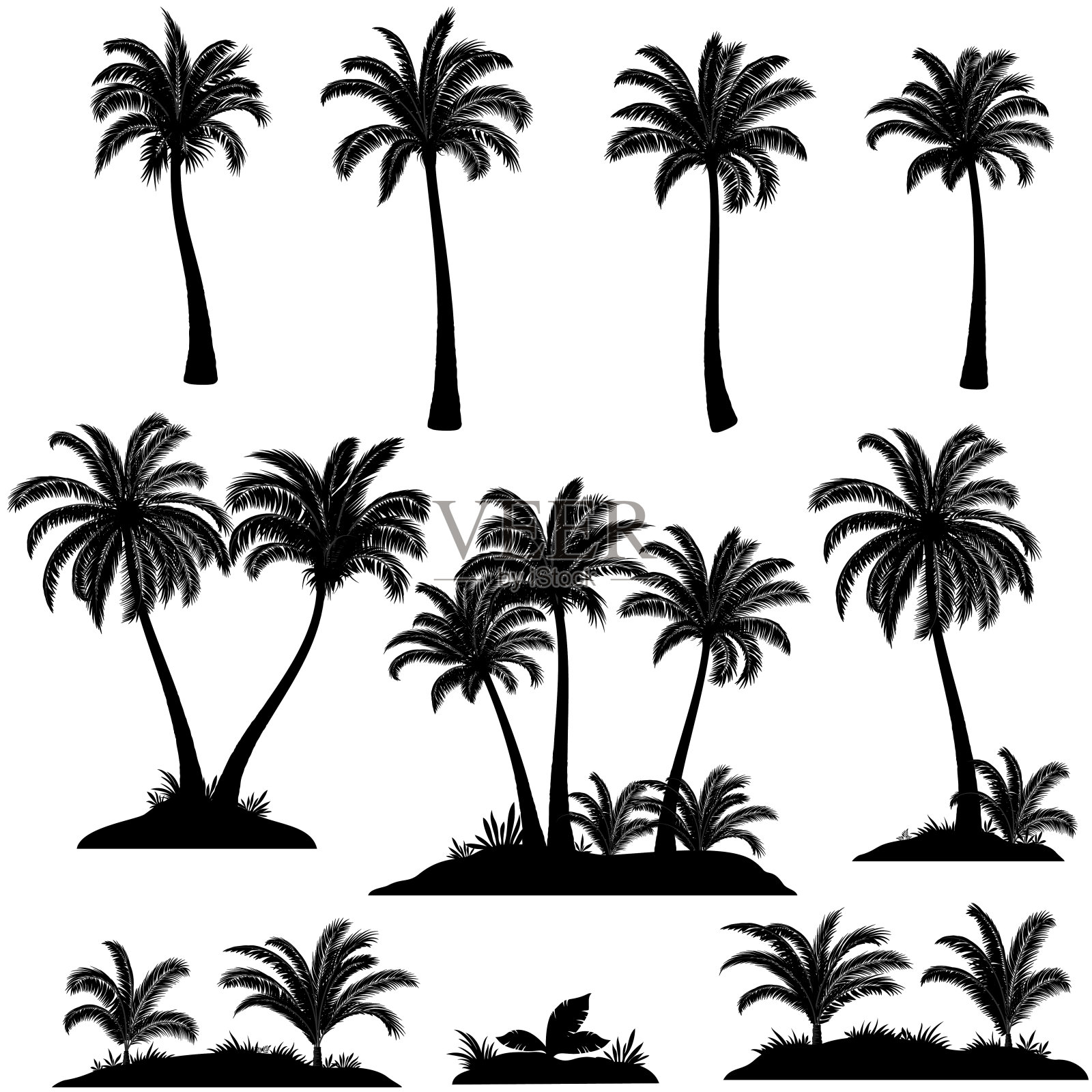 棕榈树和植物剪影设计元素图片