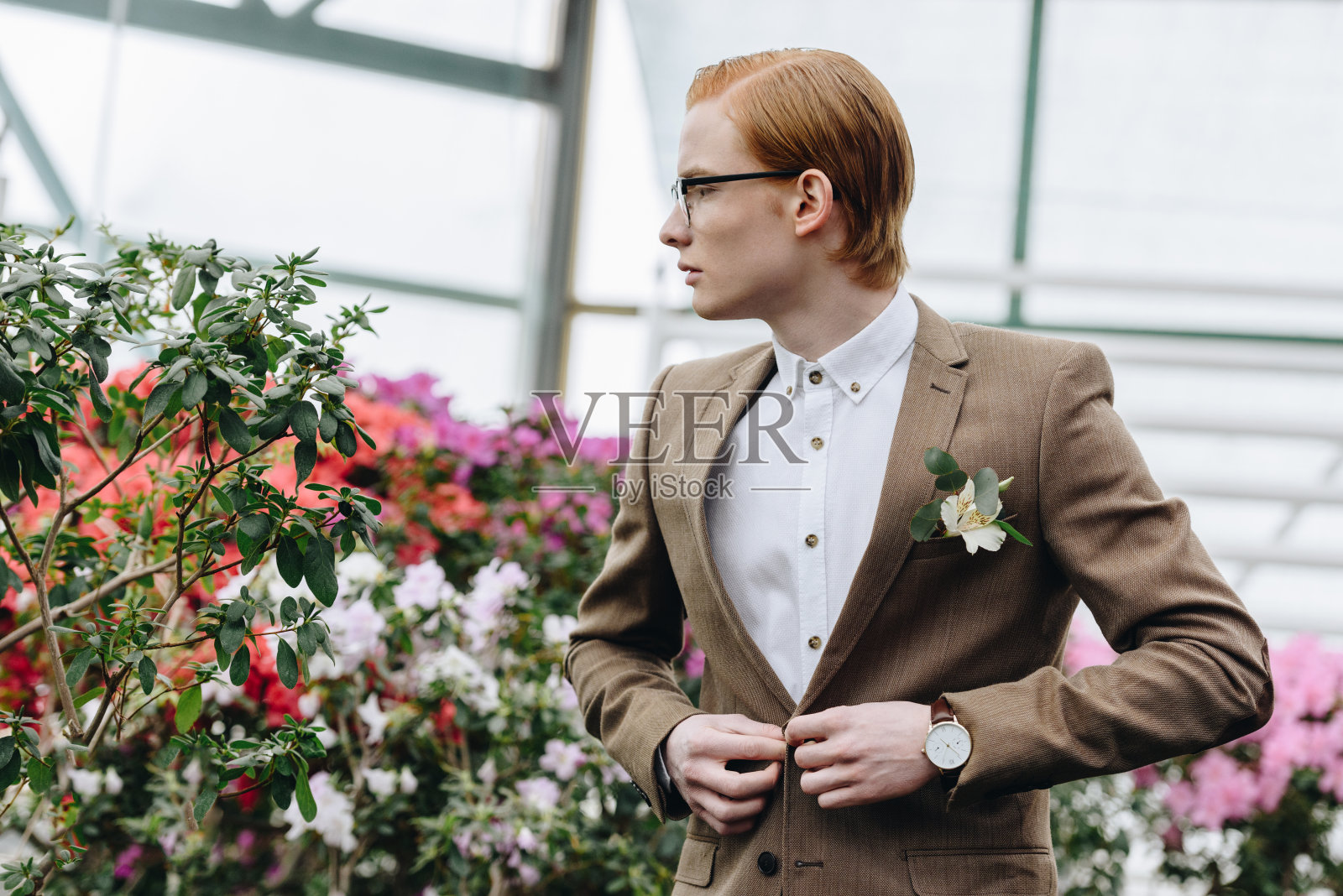 英俊的年轻新郎戴着眼镜，系着西装外套，看着远处的植物园照片摄影图片