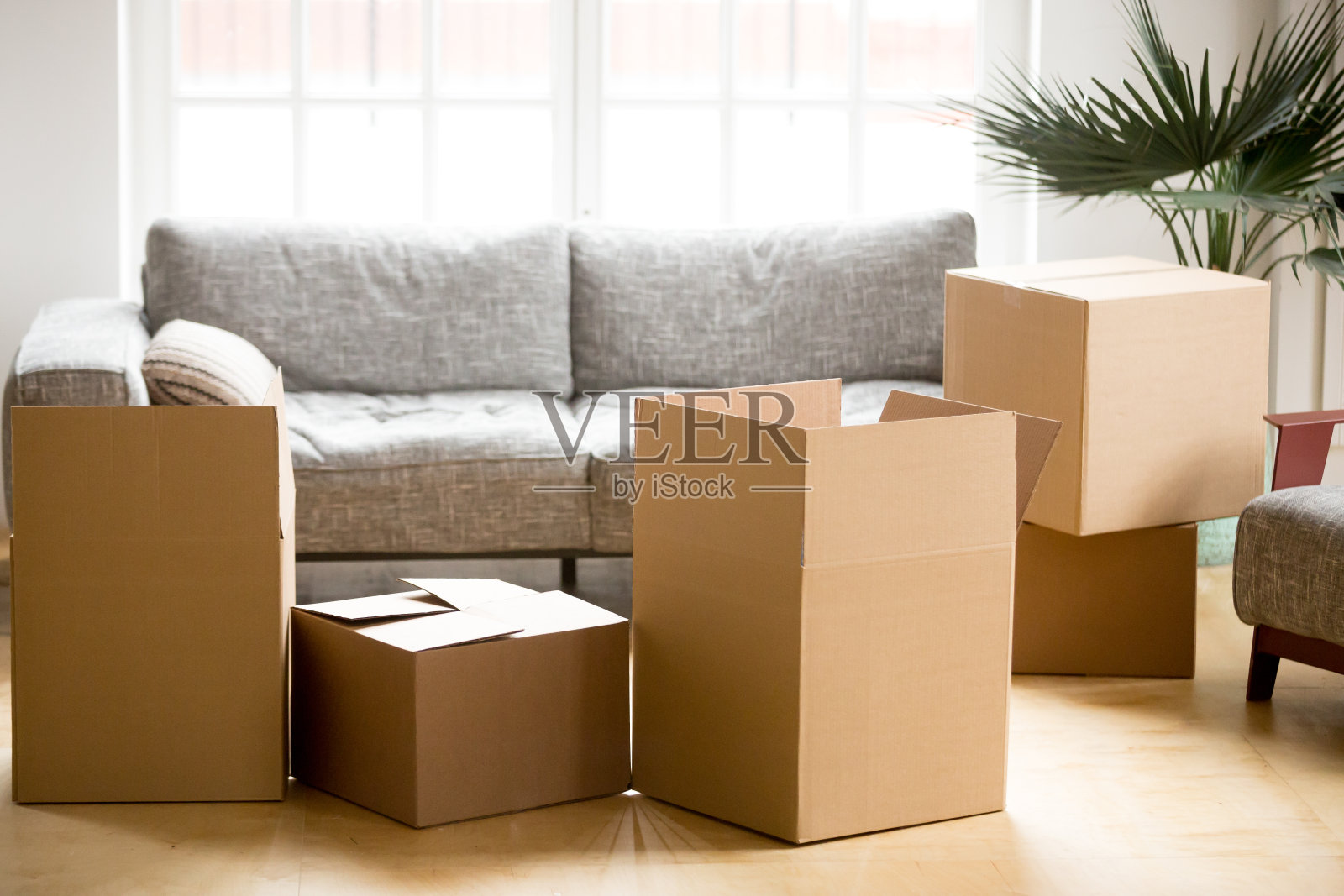 硬纸板箱在客厅，包装和搬家的概念照片摄影图片