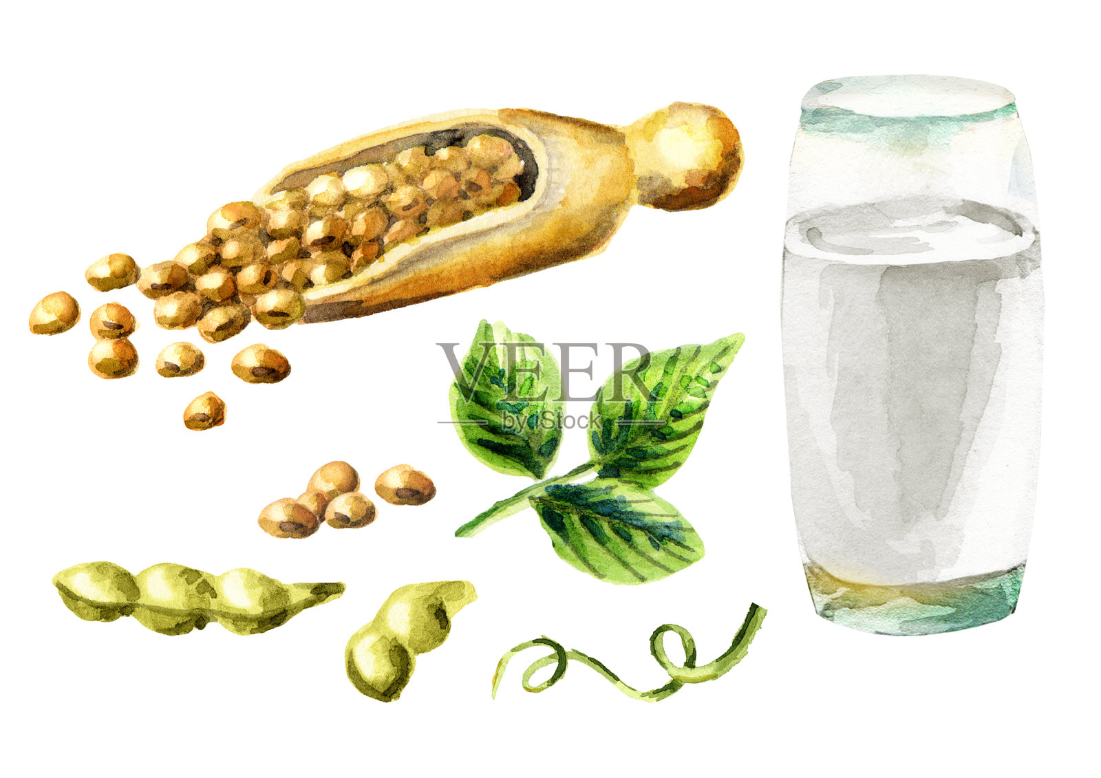 豆浆用黄豆凝固。水彩手绘插图。设计元素图片