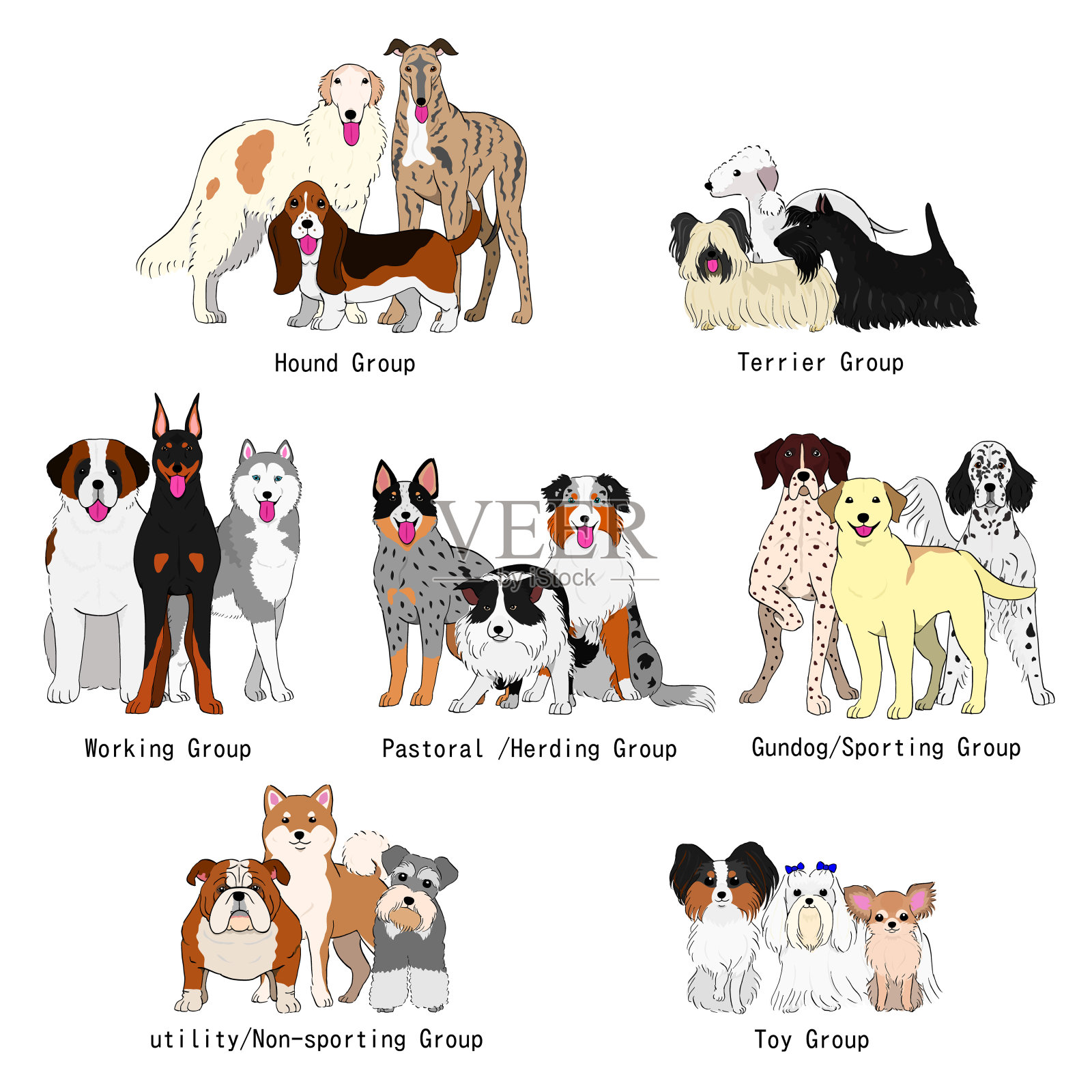 狗狗品种群设计元素图片