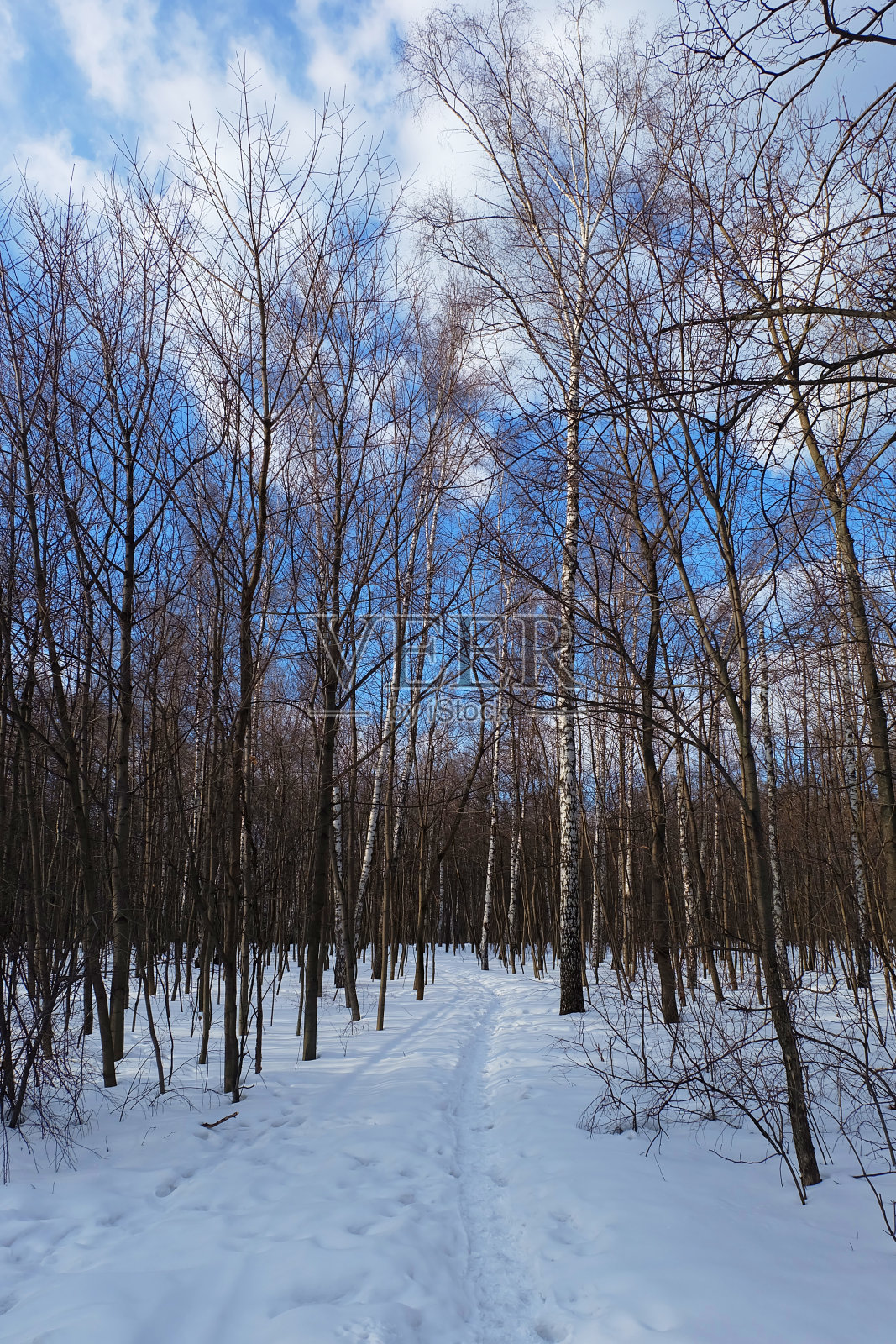 冬季人行道景观照片摄影图片