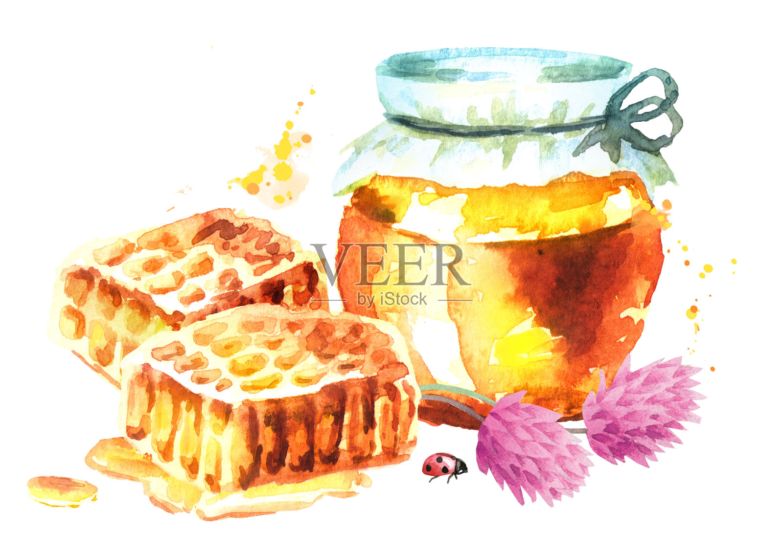 新鲜蜂蜜和三叶草。水彩手绘插图插画图片素材